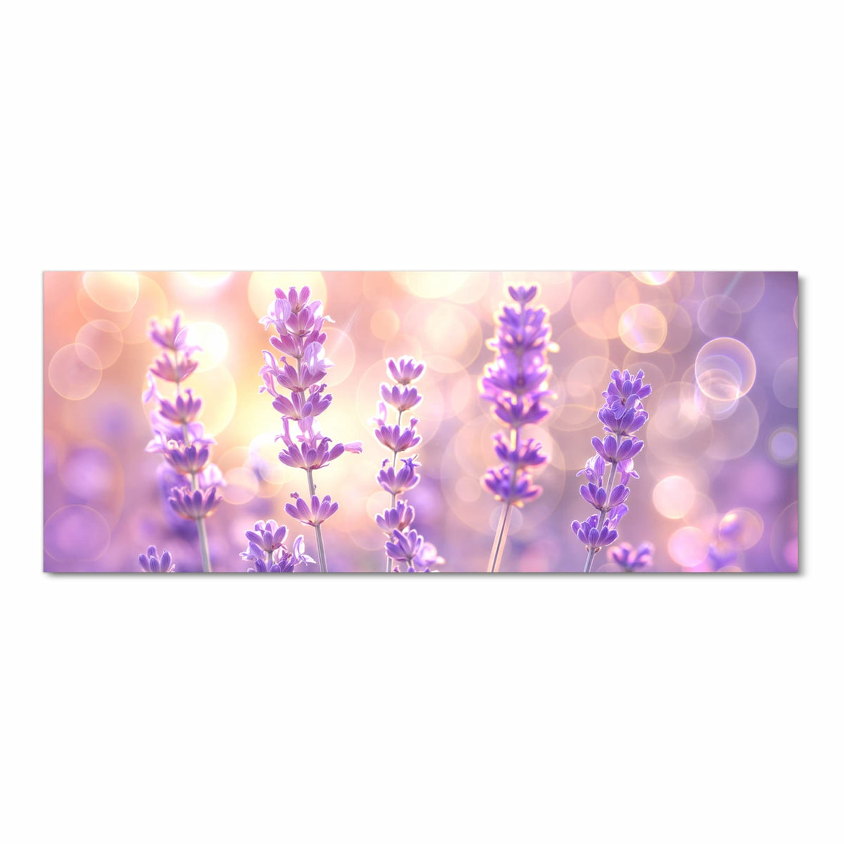 Einzelne Lavendelstängel mit violetten Blüten vor goldenem Bokeh, kein Feld