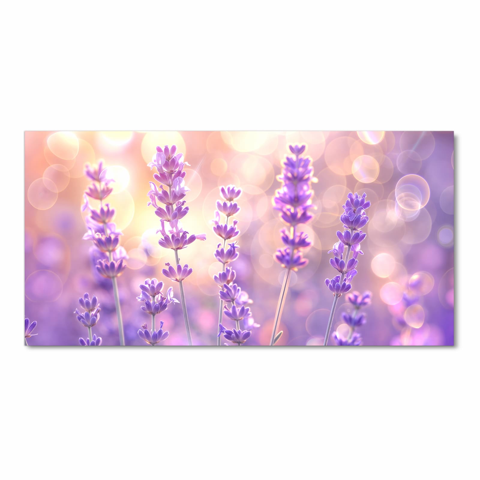 Pflegeleichter Küchenläufer mit Motiv Lavendelblütenfeld in Frontansicht