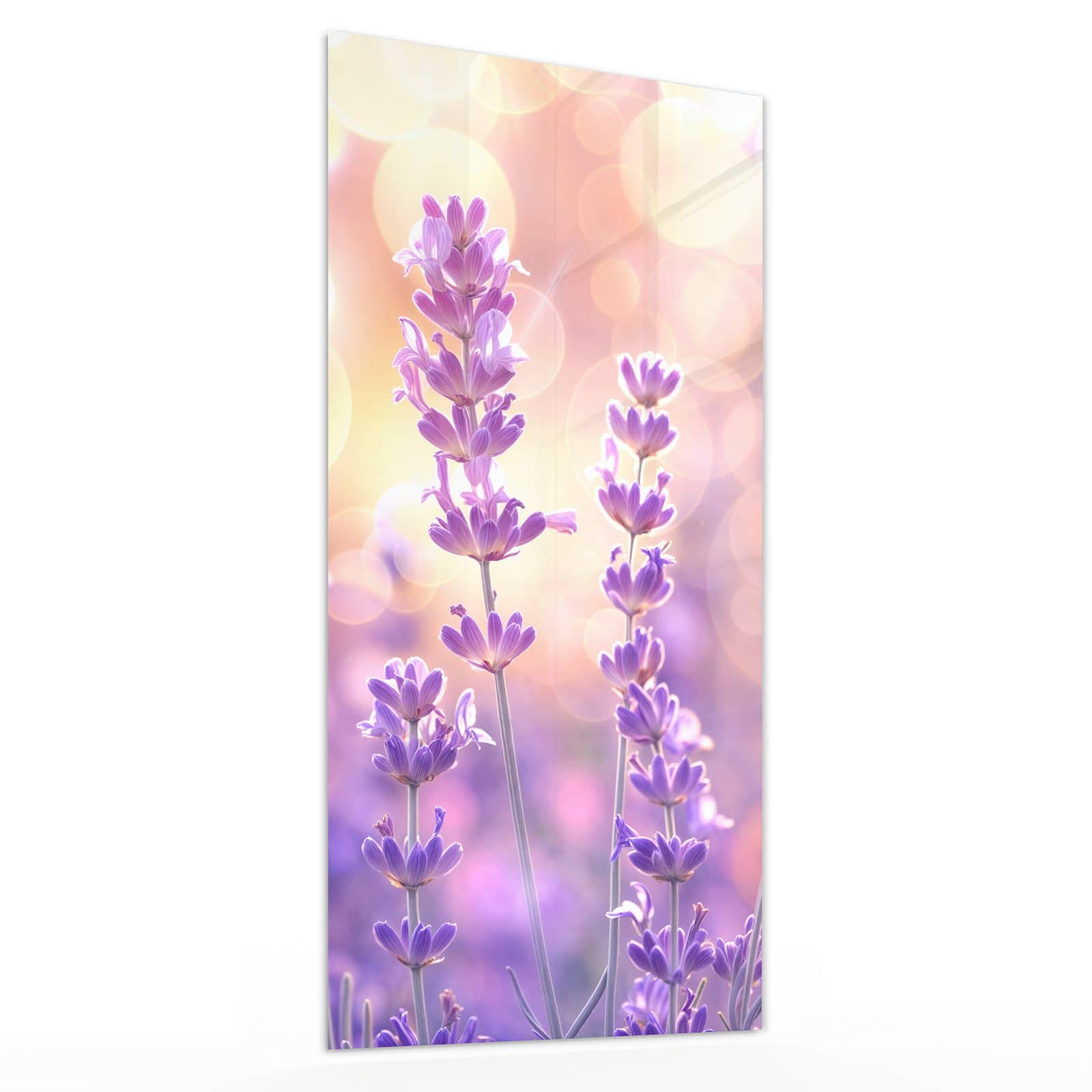 #grösse_30 x 60 cm #grösse_40 x 80 cm #grösse_50 x 100 cm #grösse_55 x 110 cm #grösse_60 x 120 cm