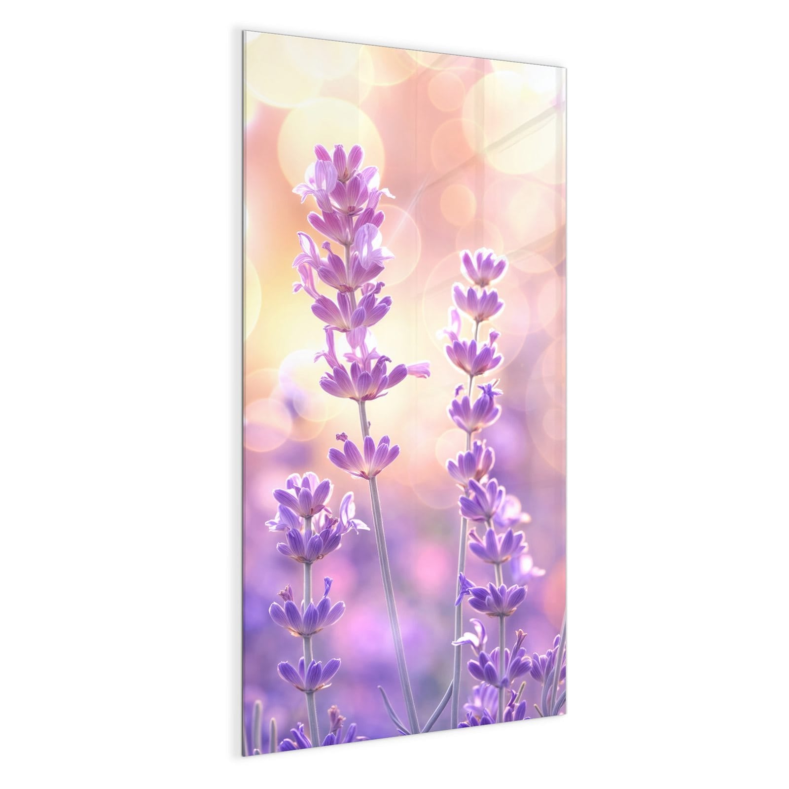 #grösse_50 x 100 cm