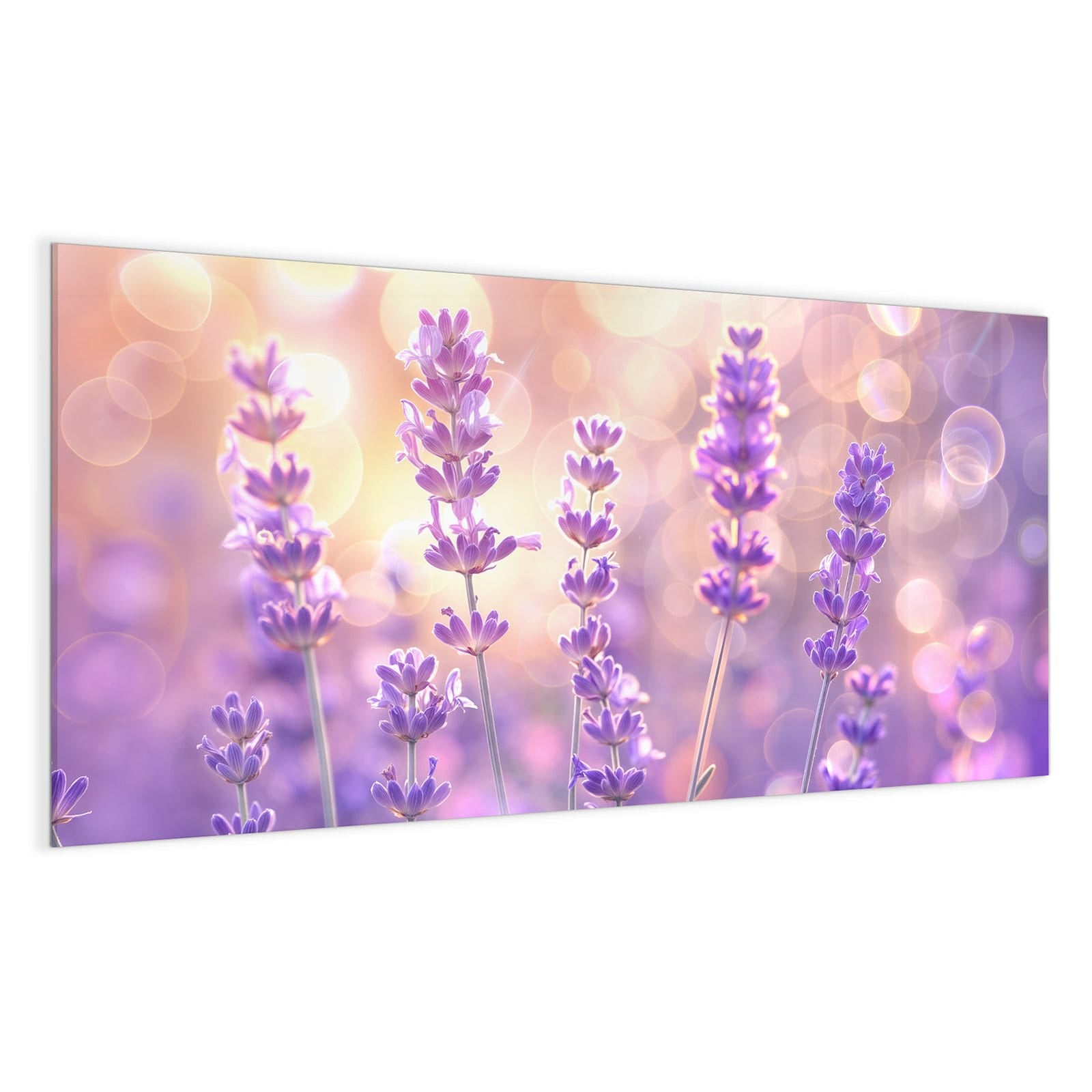 #grösse_100 x 50 cm