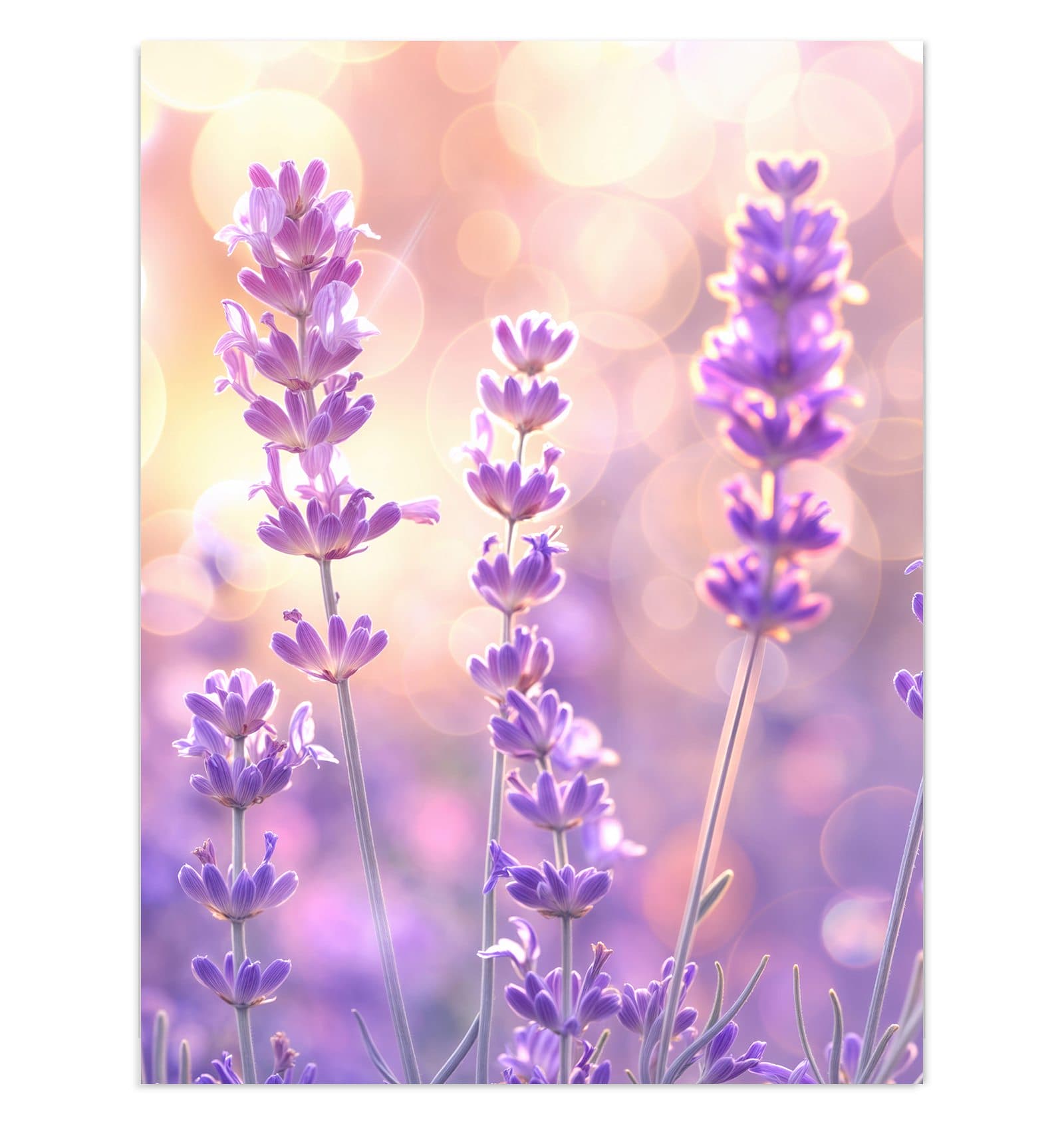 #grösse_30 x 40 cm #grösse_60 x 80 cm #grösse_75 x 100 cm