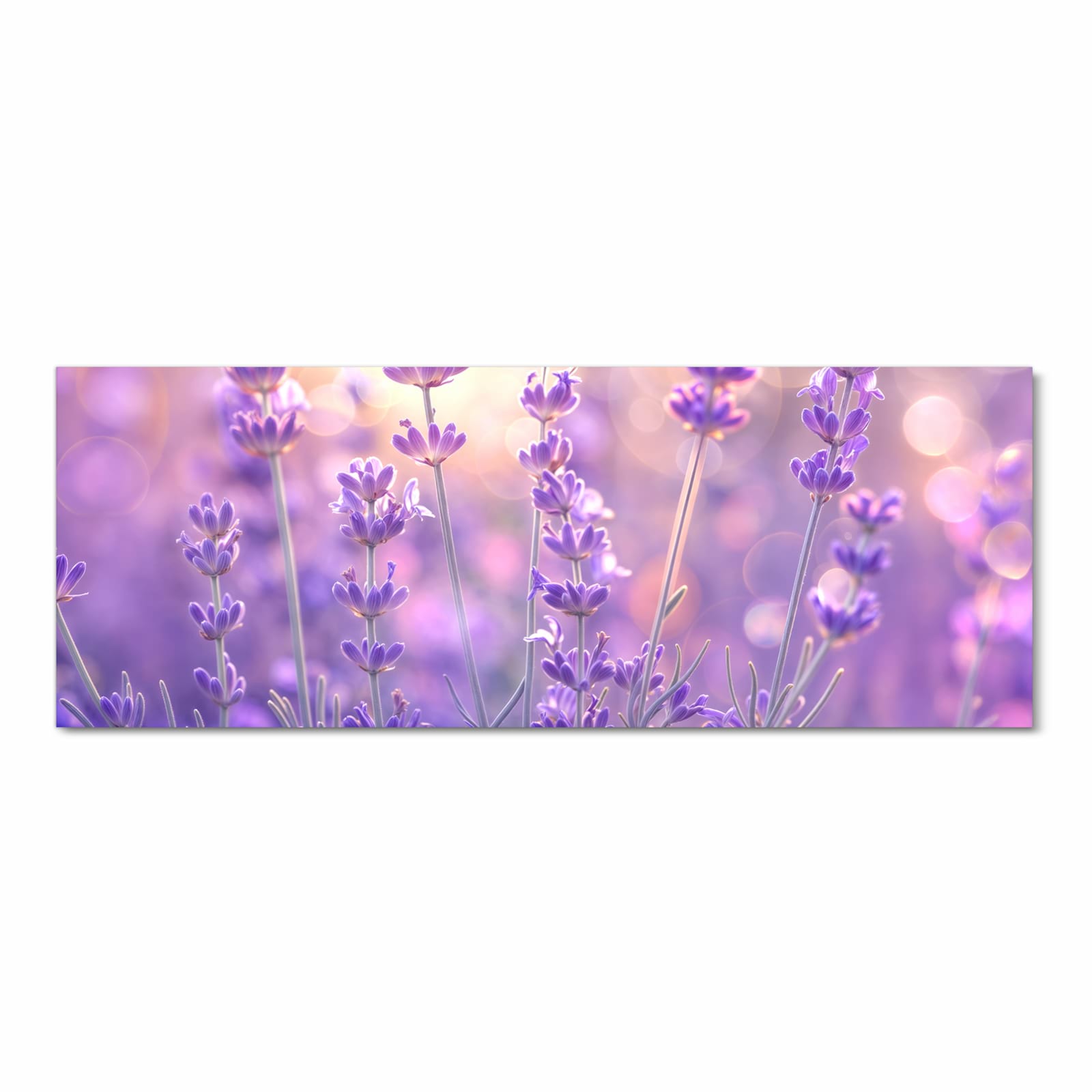 Feuchtigkeitsresistenter Läufer für Eingangsbereich mit Motiv Lavendelblütenfeld in Frontansicht
