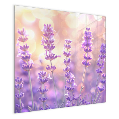 Magnettafel mit dem Motiv Lavendel im Gegenlicht