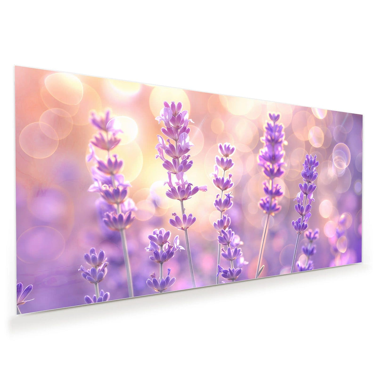 Einzelne Lavendelstängel mit violetten Blüten vor goldenem Bokeh, kein Feld