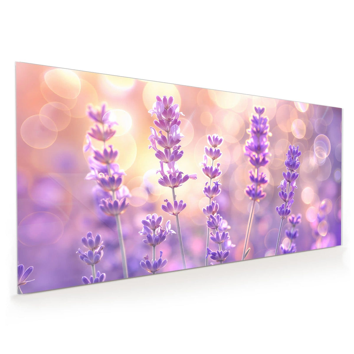 Küchenrückwand aus Glas im Hochformat mit Motiv Lavendel im Gegenlicht: Einzelne Lavendelstängel mit violetten Blüten vor goldenem Bokeh, kein Feld