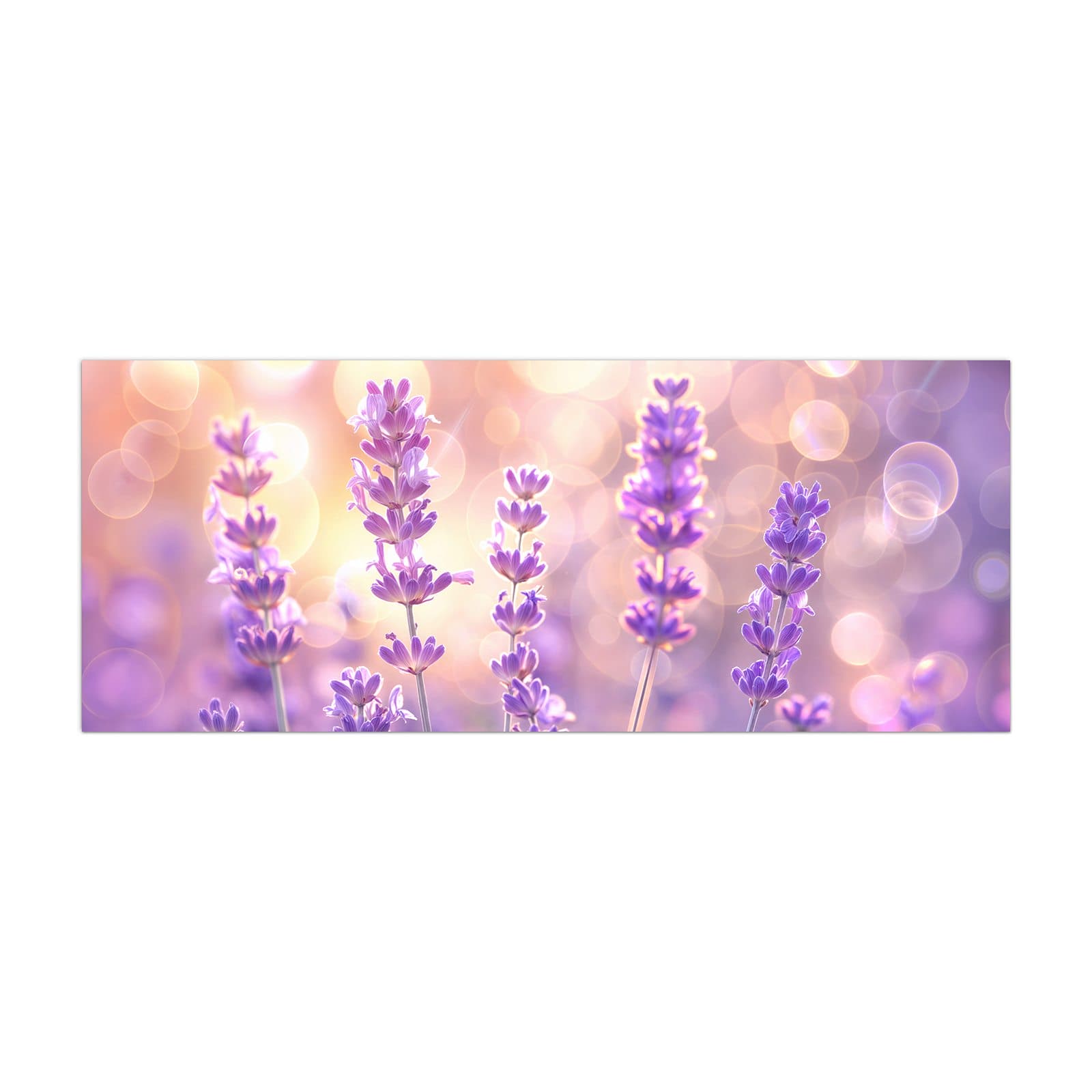 #grösse_40 x 100 cm #grösse_50 x 125 cm #grösse_60 x 150 cm