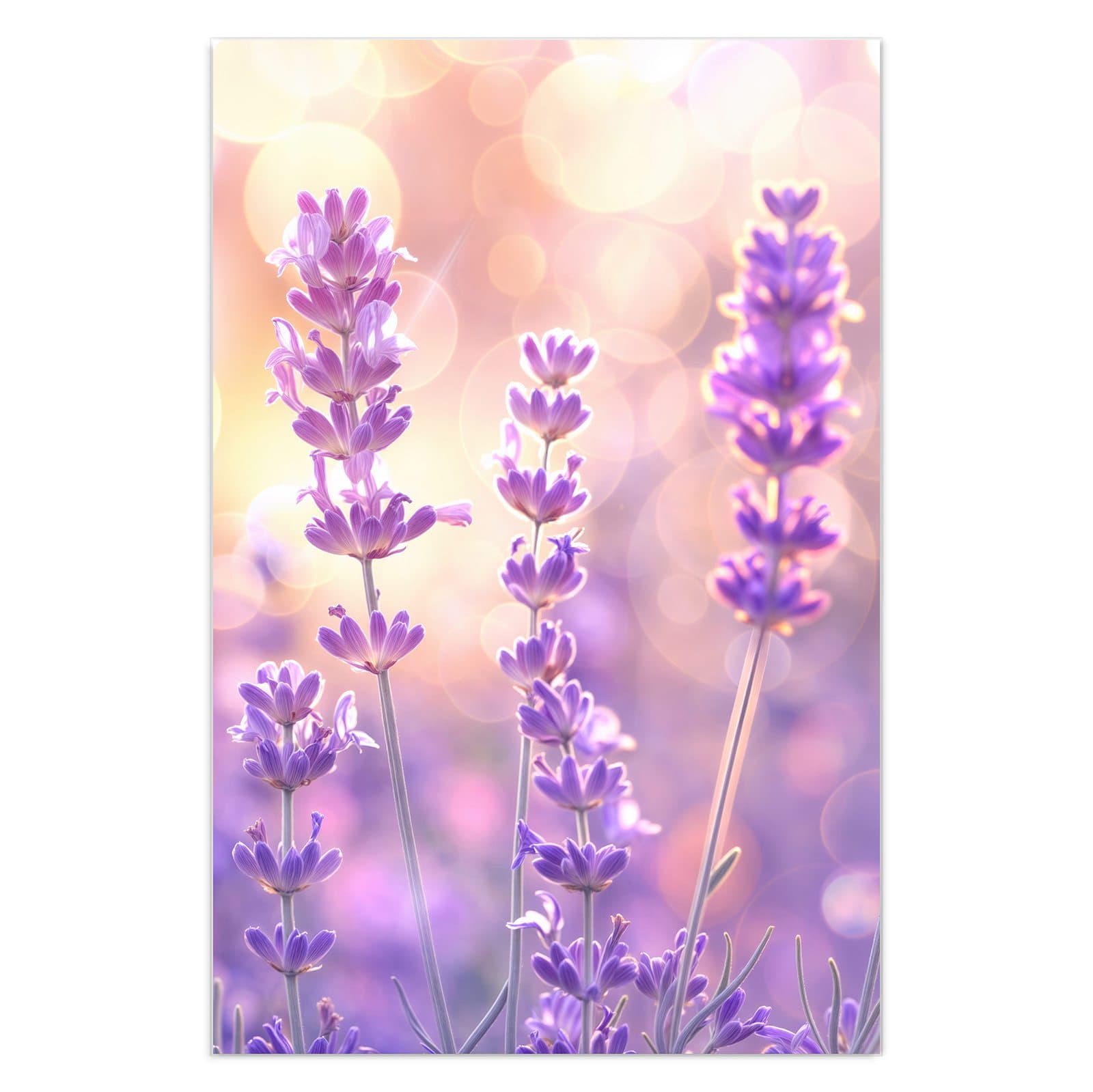 #grösse_40 x 60 cm #grösse_50 x 75 cm #grösse_60 x 90 cm