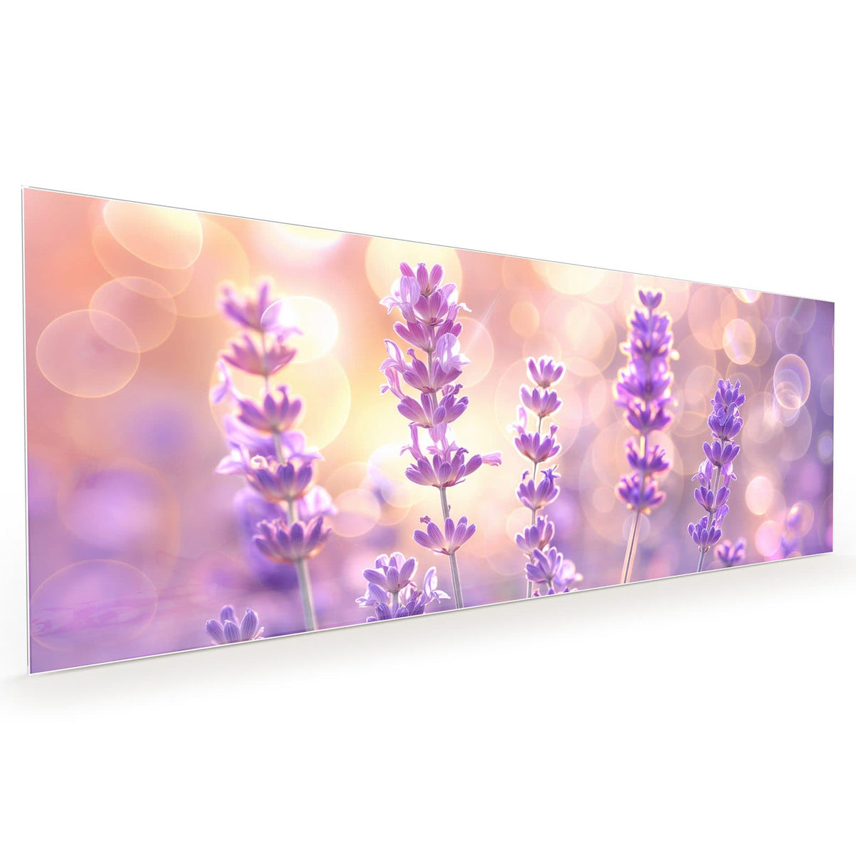 Küchenrückwand aus Glas im Hochformat mit Motiv Lavendel im Gegenlicht: Einzelne Lavendelstängel mit violetten Blüten vor goldenem Bokeh, kein Feld