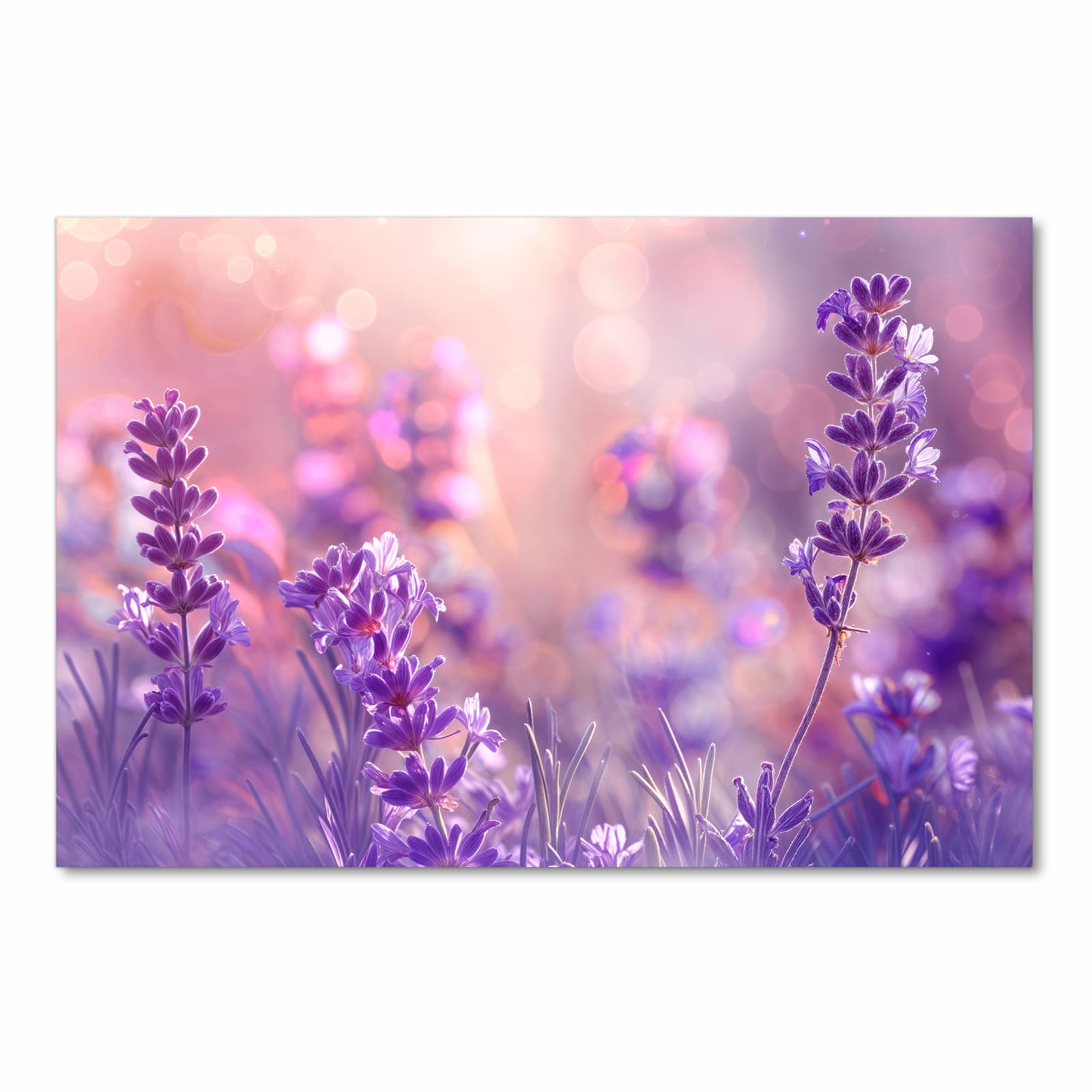 Farbbeständiger Teppich für die Küche mit Motiv Lavendeltraum in Frontansicht