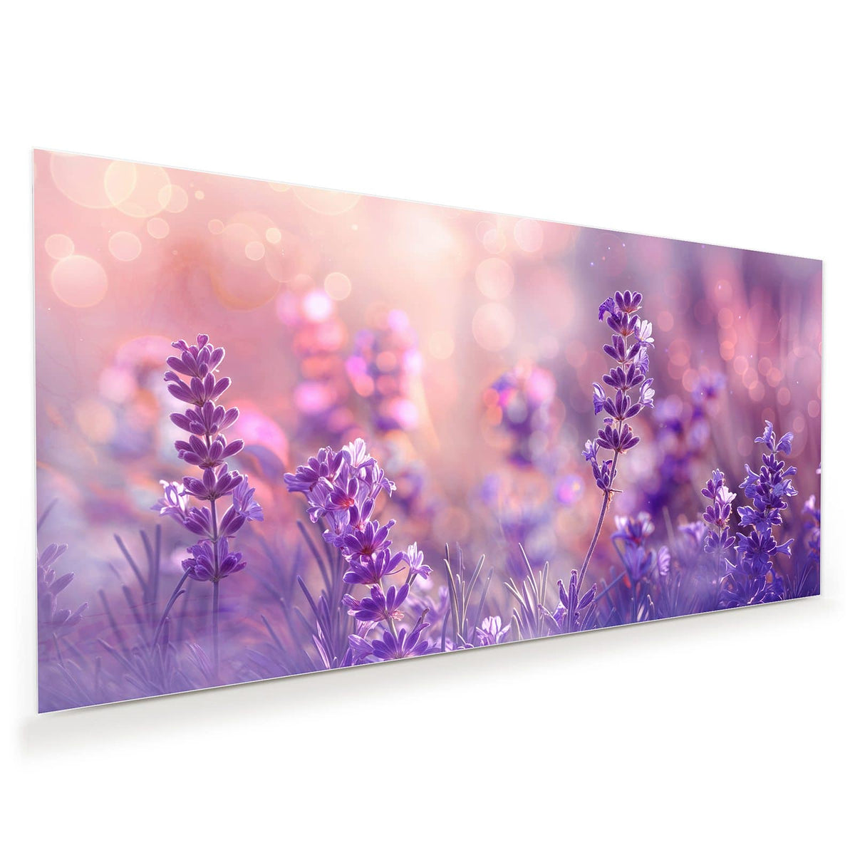 Violette Lavendelblüten von unten fotografiert vor rosa Bokeh