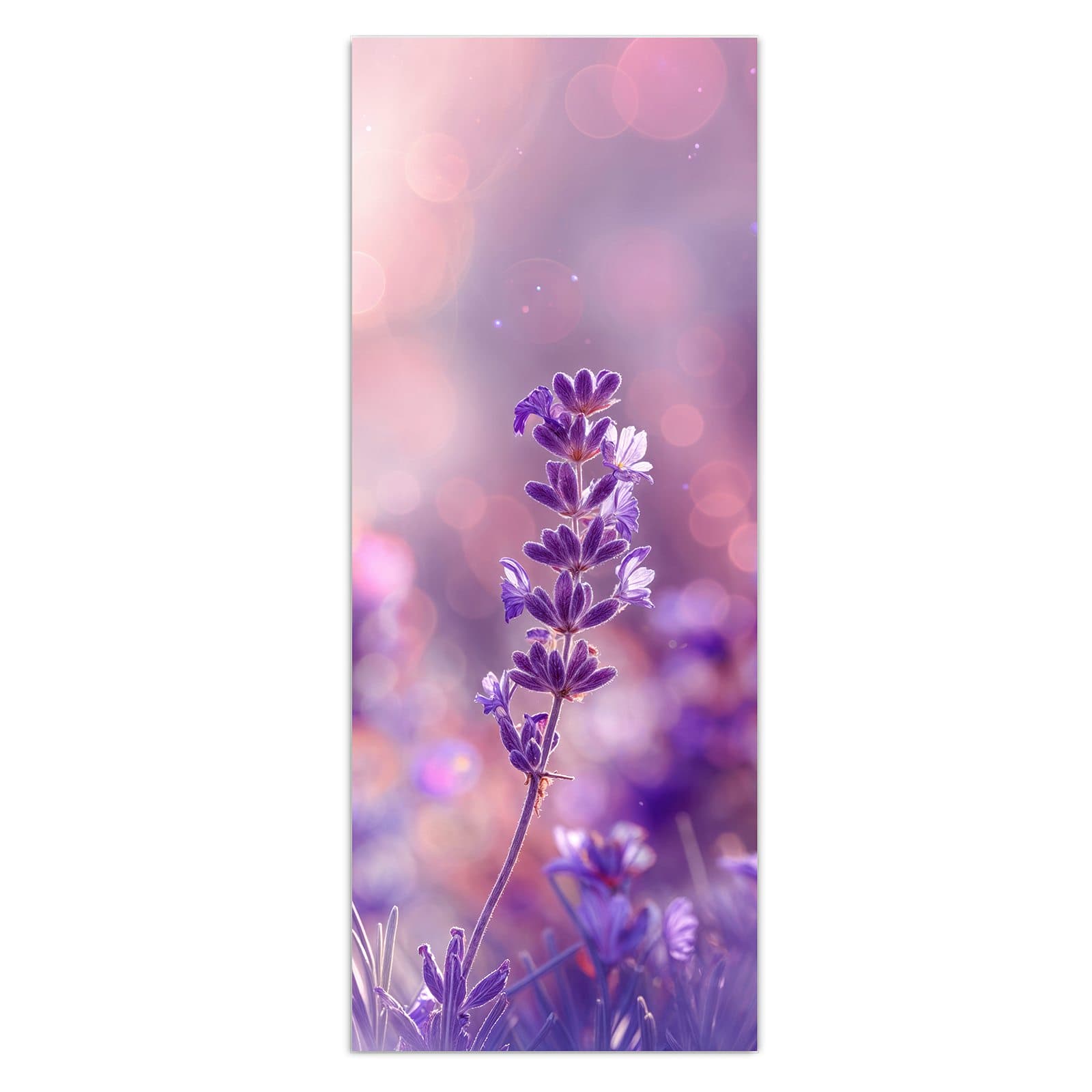 #grösse_50 x 125 cm #grösse_40 x 100 cm #grösse_60 x 150 cm