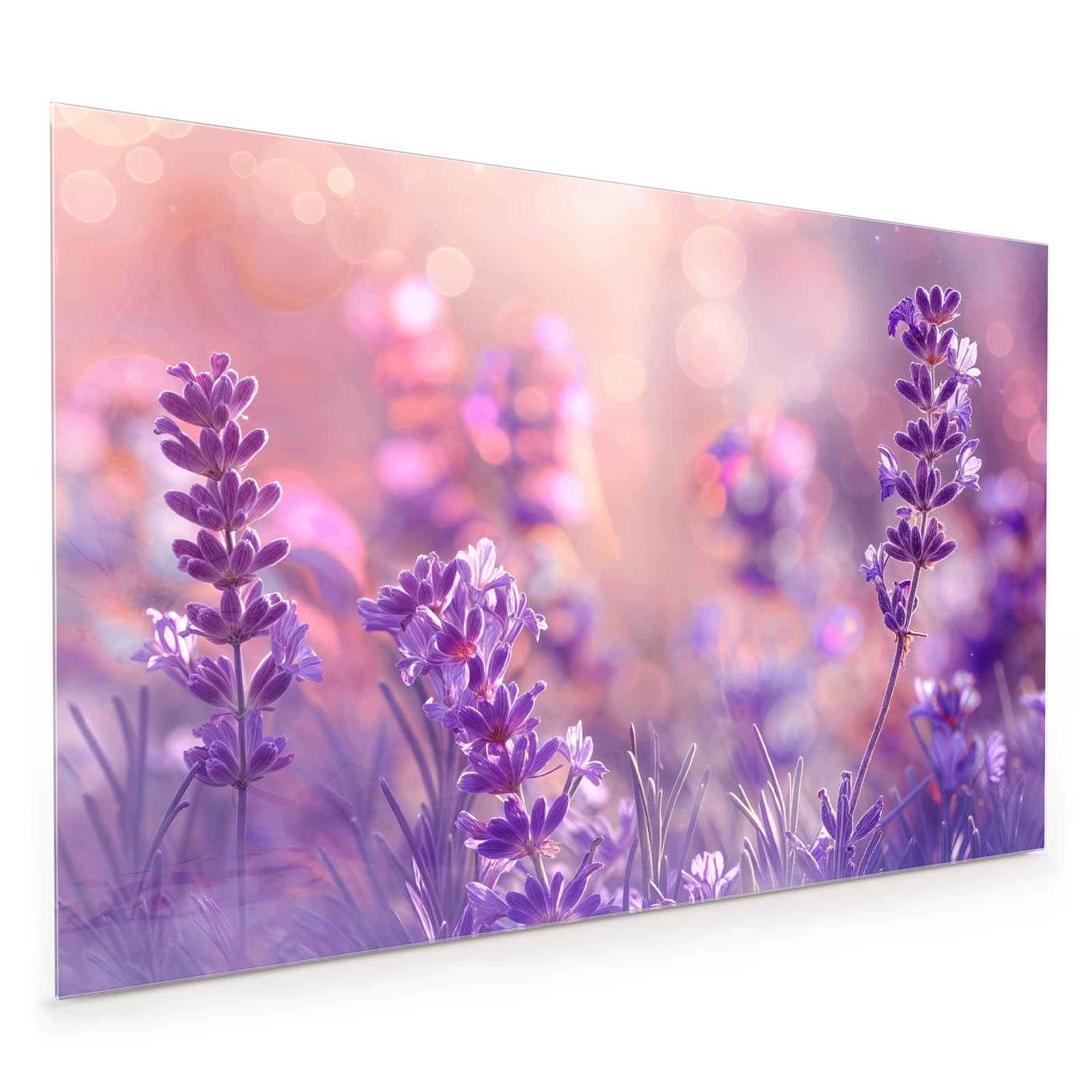 #80 x 120 cm_
