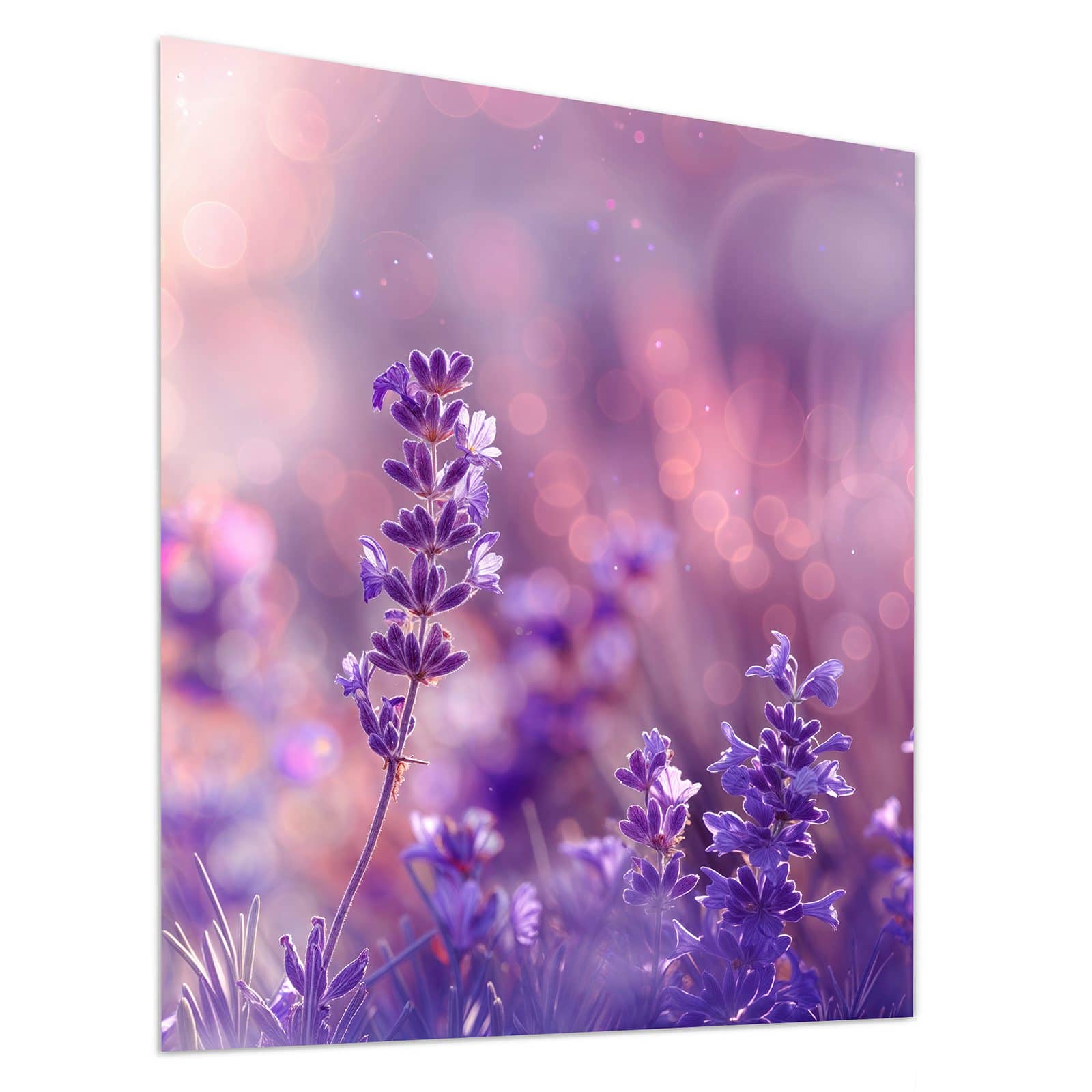 #grösse_90 x 100 cm