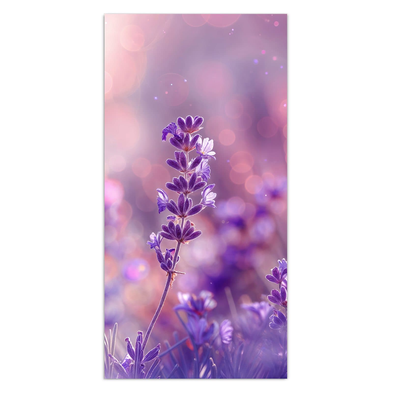 #grösse_30 x 60 cm #grösse_40 x 80 cm #grösse_50 x 100 cm #grösse_55 x 110 cm #grösse_60 x 120 cm