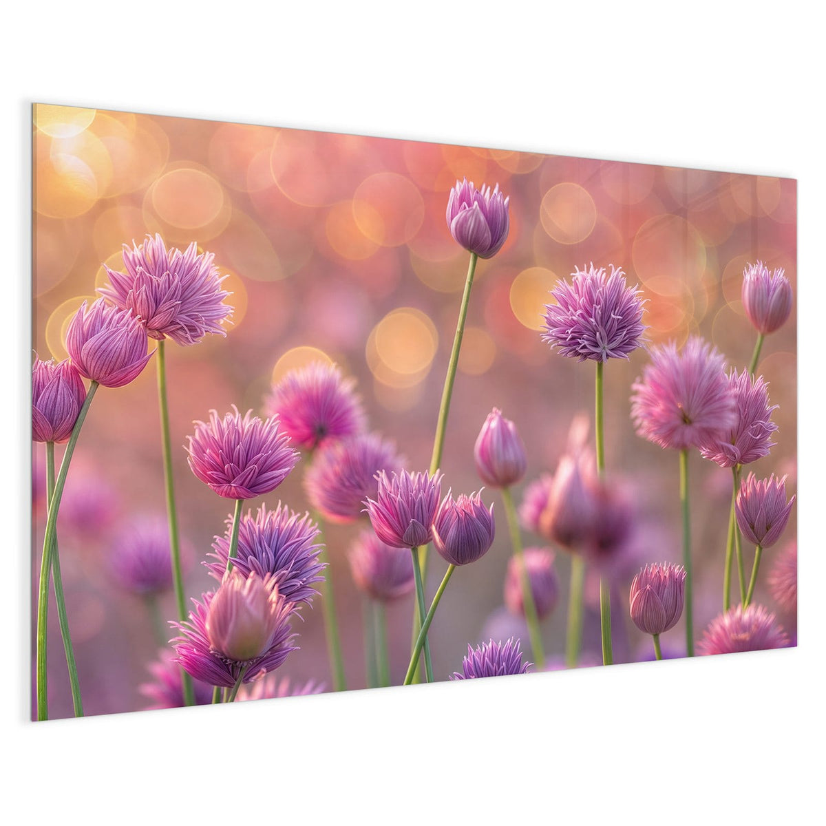 4 mm Glas statt lackiertem Blech – Magnettafel - Blühender Zierlauch