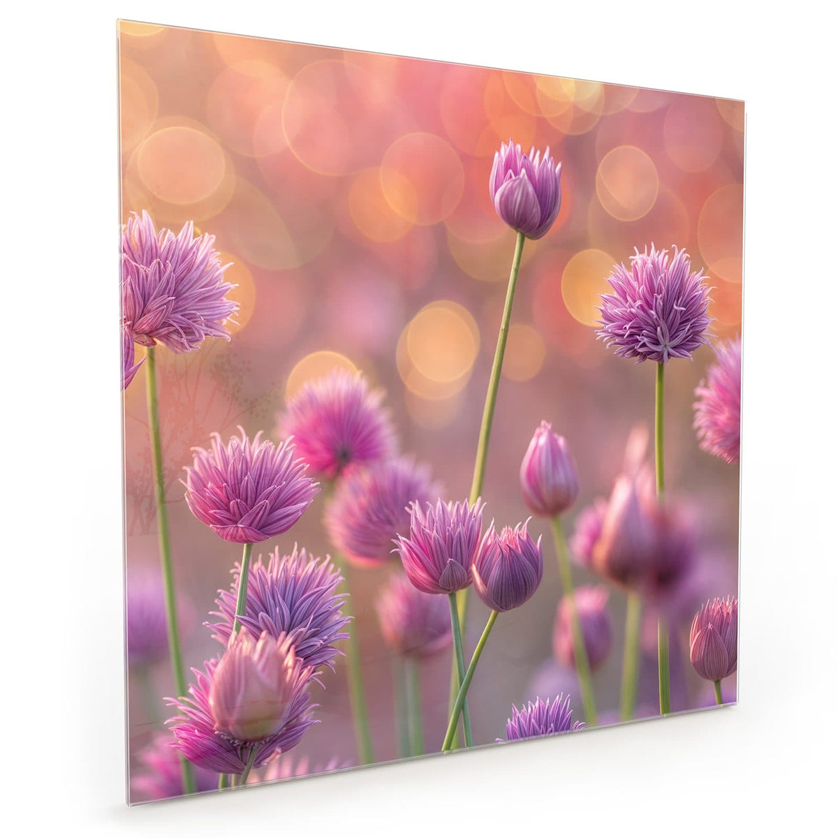 #grösse_40 x 40 cm #grösse_50 x 50 cm #grösse_60 x 60 cm