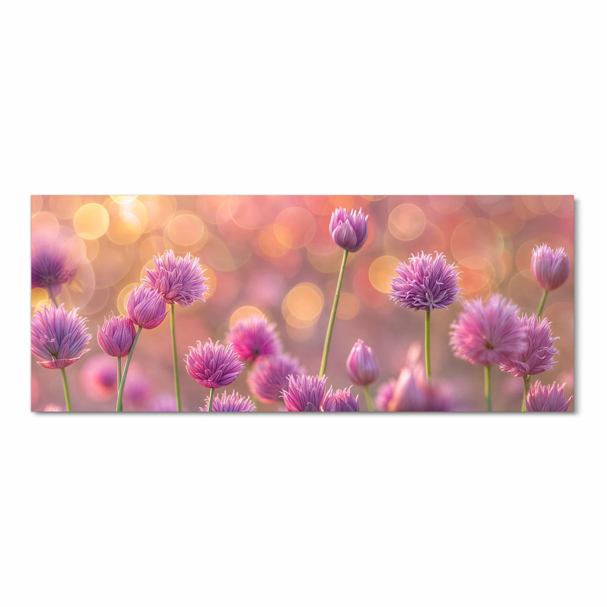 Rosa-violette Lauchblüten auf dünnen Stielen vor warmem orangefarbenem Bokeh