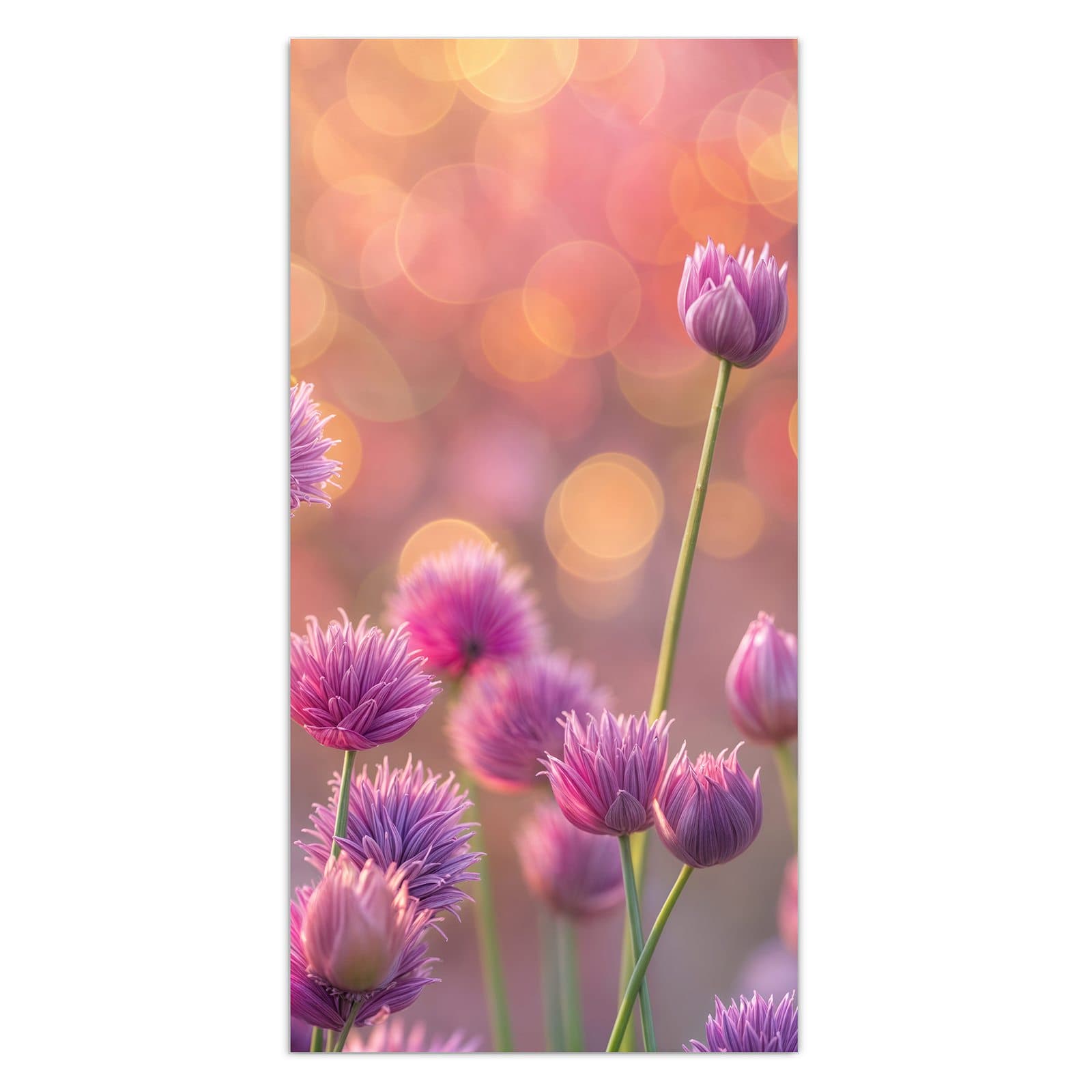 #grösse_30 x 60 cm #grösse_40 x 80 cm #grösse_50 x 100 cm #grösse_55 x 110 cm #grösse_60 x 120 cm