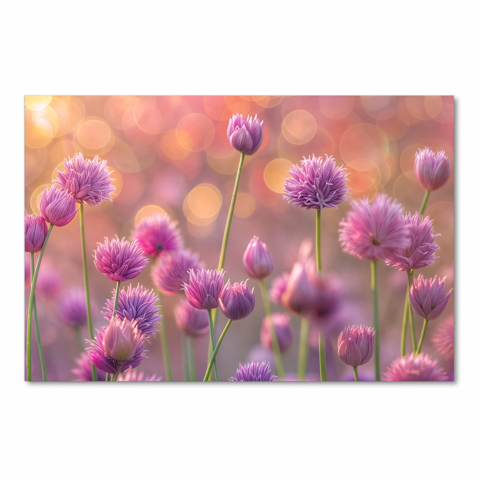 Formstabiler Küchenteppich mit Motiv Blühende Zierlauch in Frontansicht