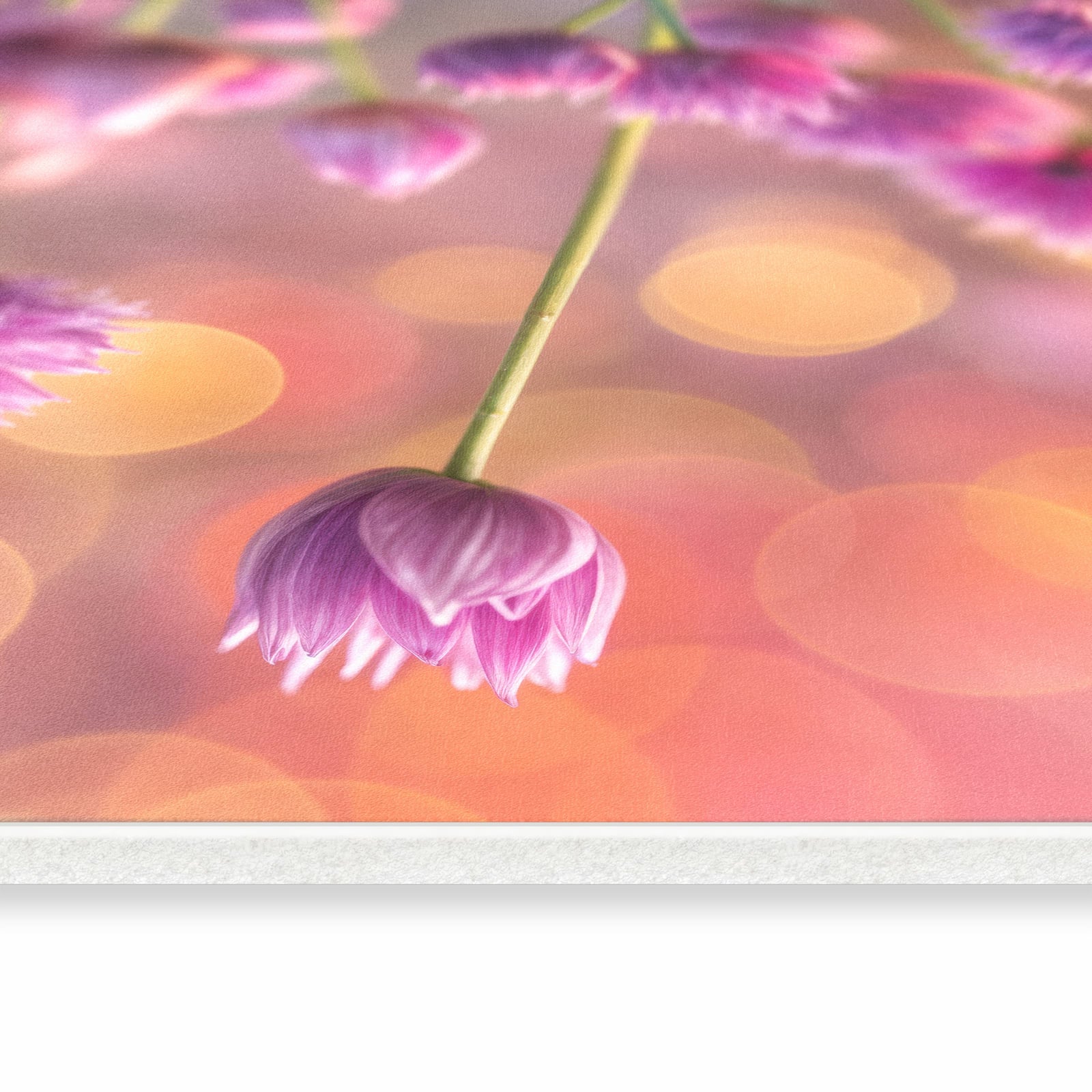 Fleckenresistenter Teppich fürs Esszimmer mit Motiv Blühende Zierlauch in seitlicher Ansicht