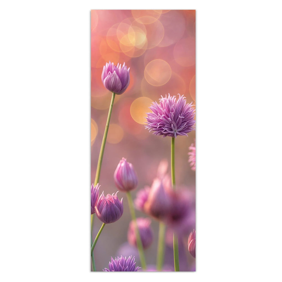 Wandbild - Blühender Zierlauch - Hochformat – Rosa Lauchblüten vor goldenem Bokeh