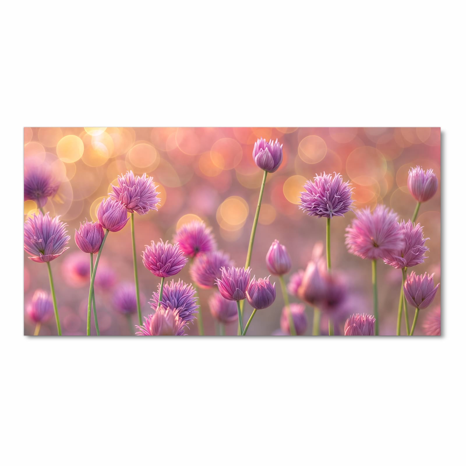 Rutschfester moderner Küchenläufer mit Motiv Blühende Zierlauch in Frontansicht