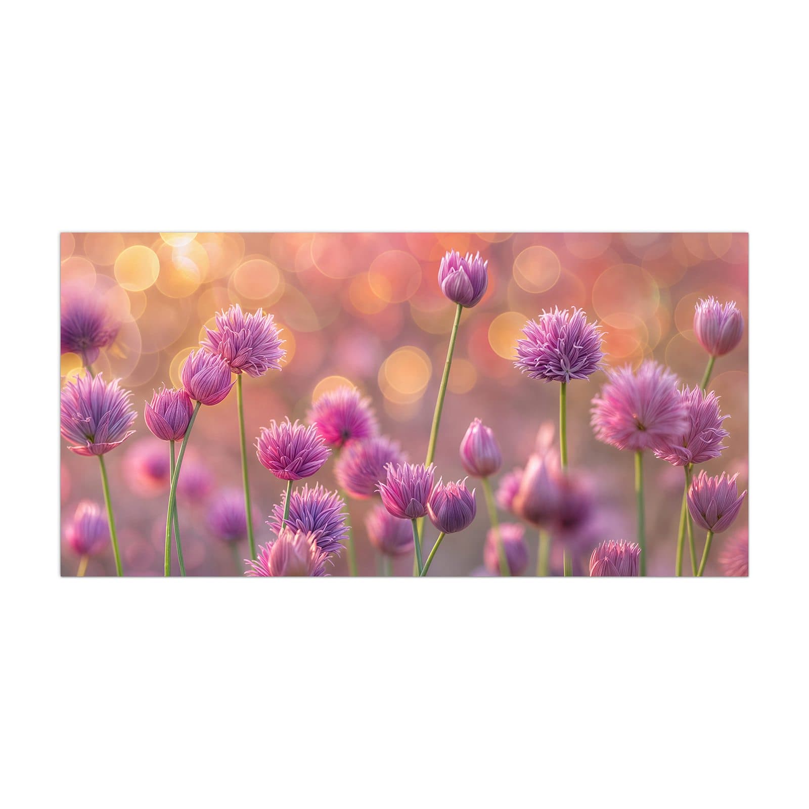 #grösse_40 x 80 cm #grösse_50 x 100 cm #grösse_55 x 110 cm #grösse_60 x 120 cm