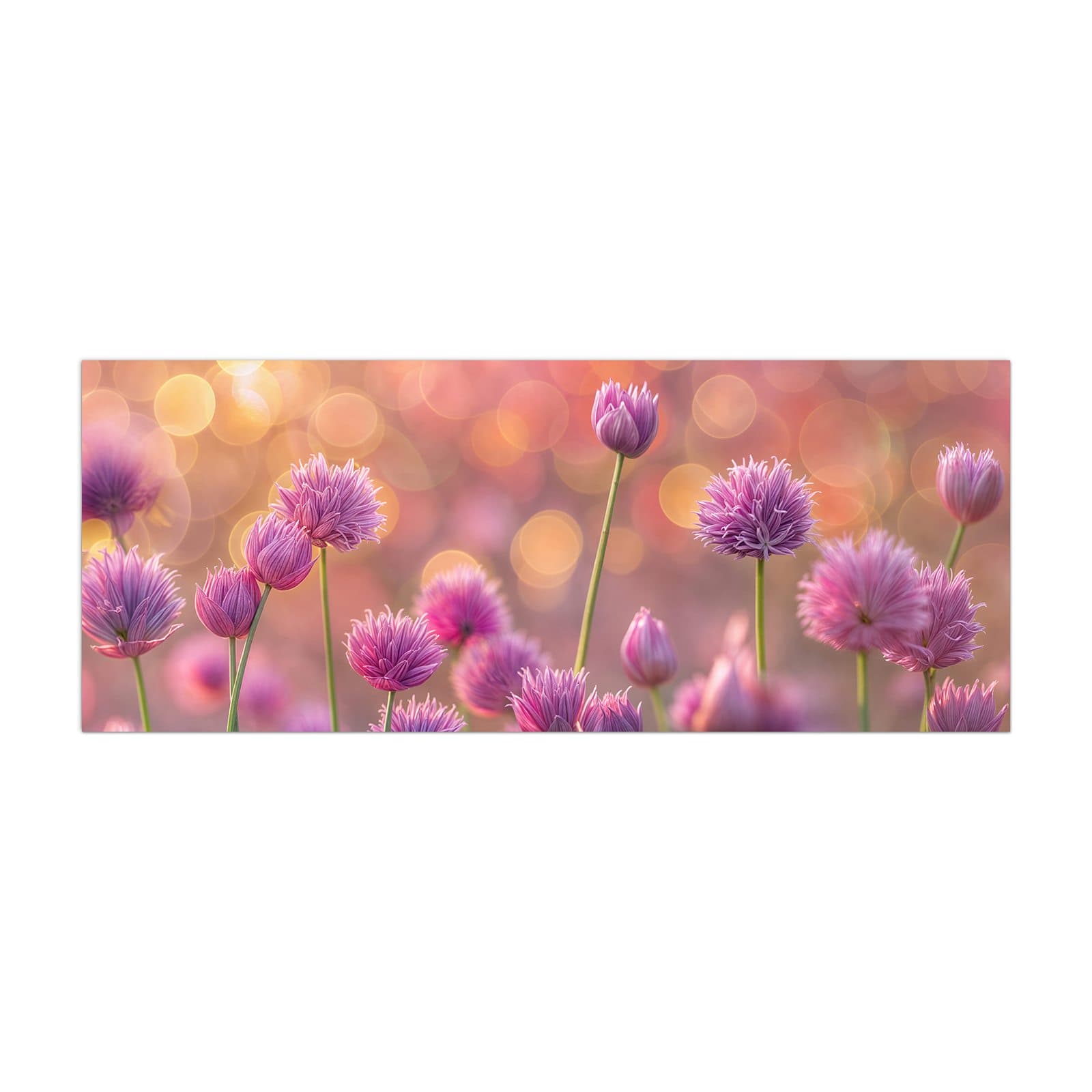 #grösse_40 x 100 cm #grösse_50 x 125 cm #grösse_60 x 150 cm