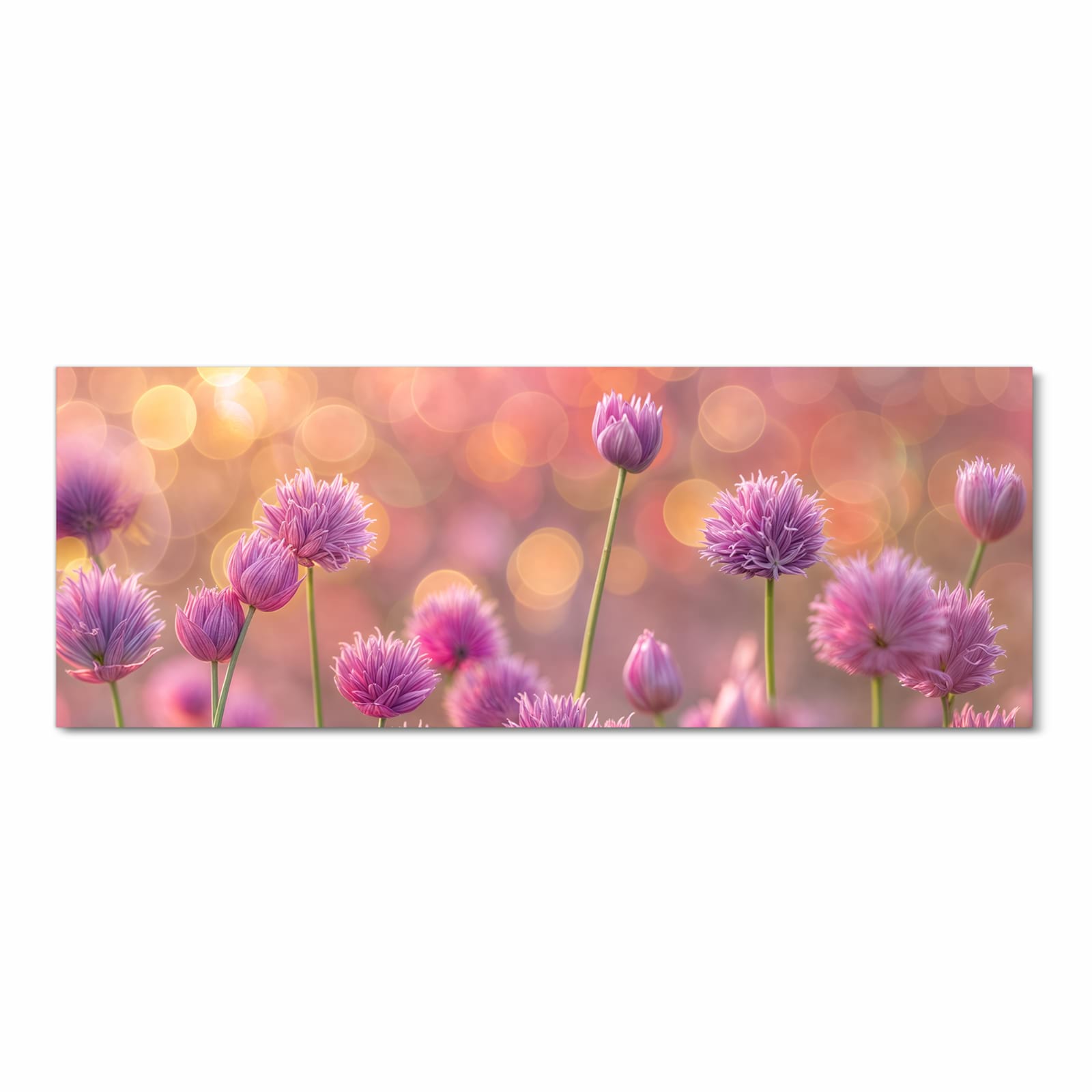 Abriebfester Küchenteppich mit Motiv Blühende Zierlauch in der Küche - Frontansicht