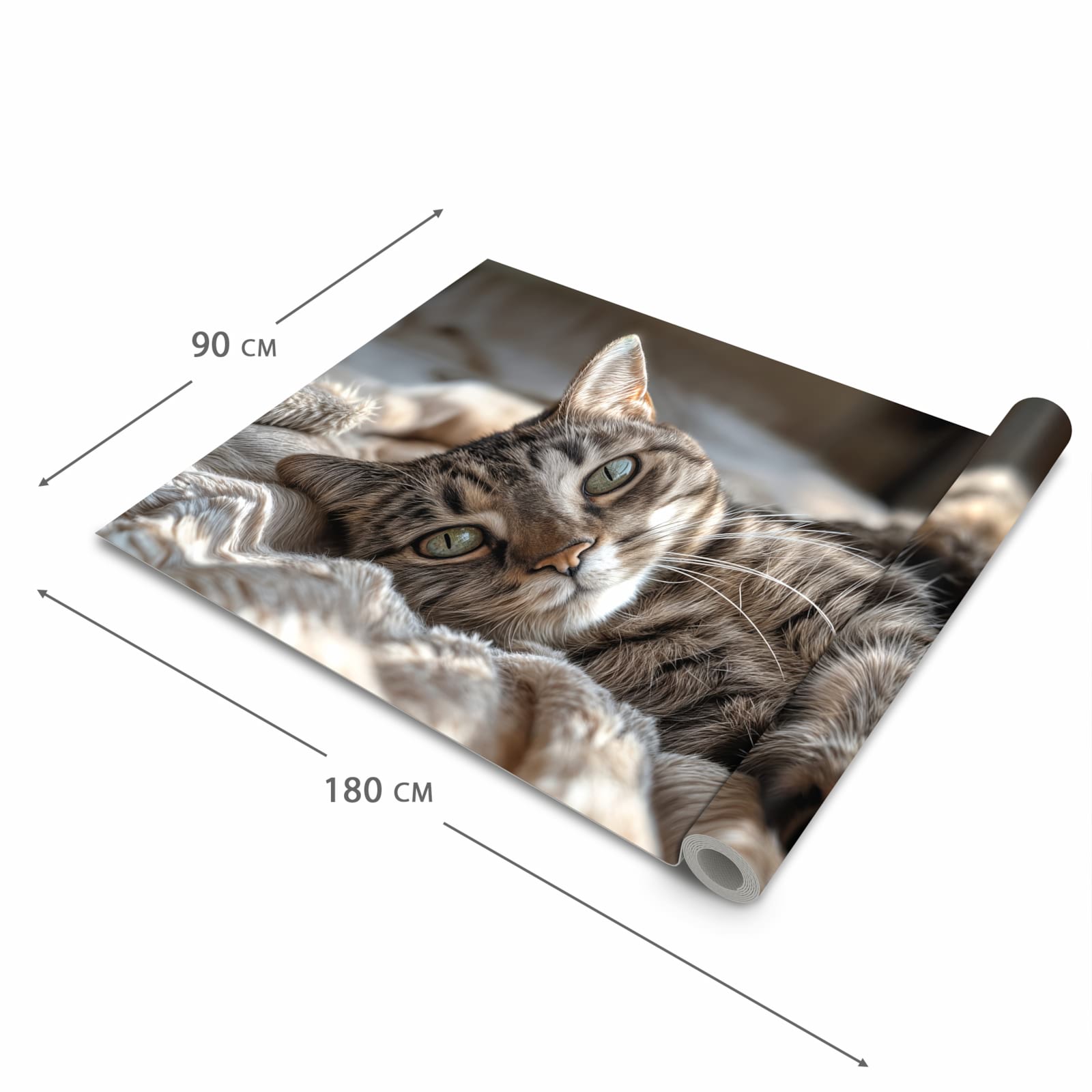 UV-beständiger Küchenteppich mit Motiv Gemütliche Katze in der Grösse 60x120 cm