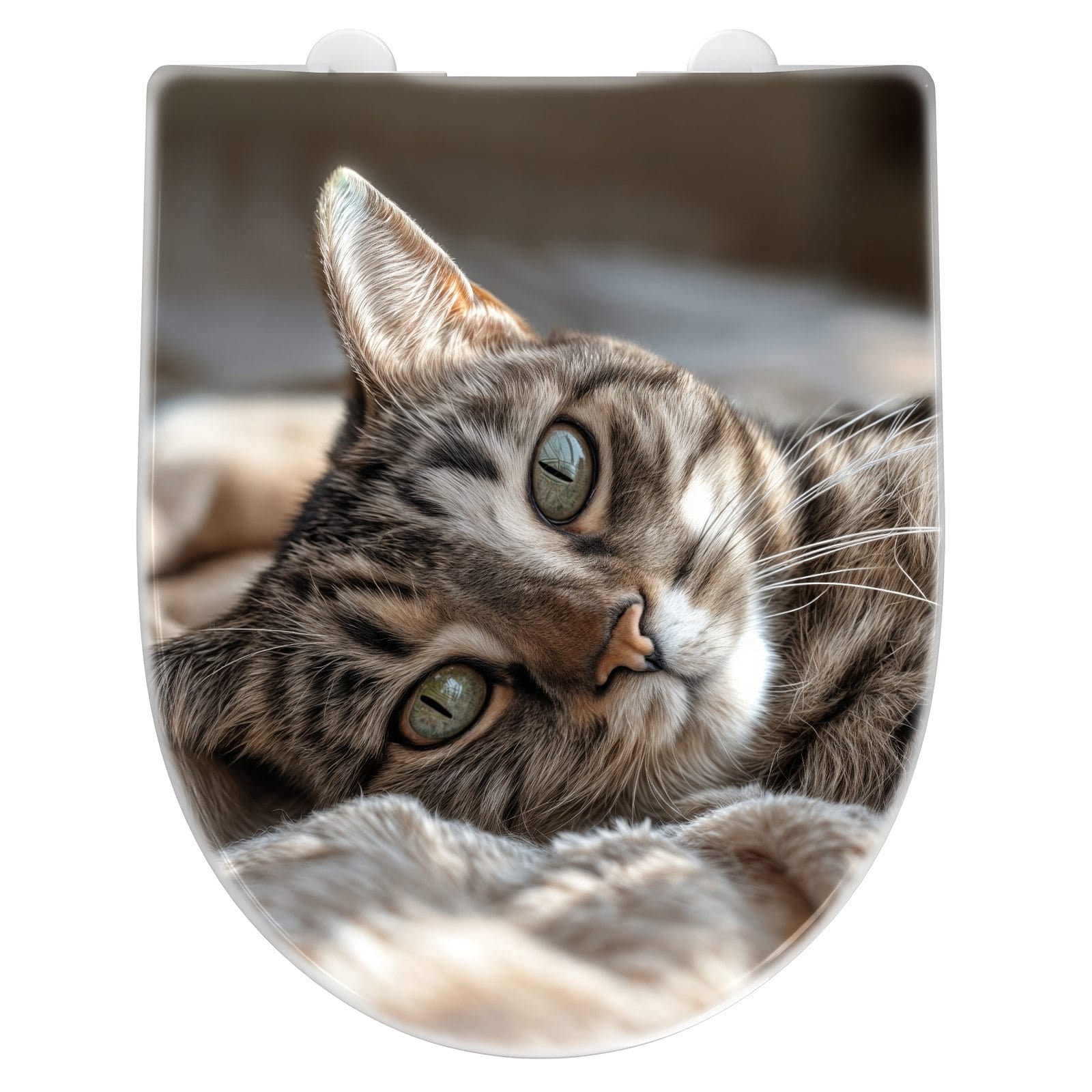 WC-Sitz mit Absenkautomatik Gemütliche Katze