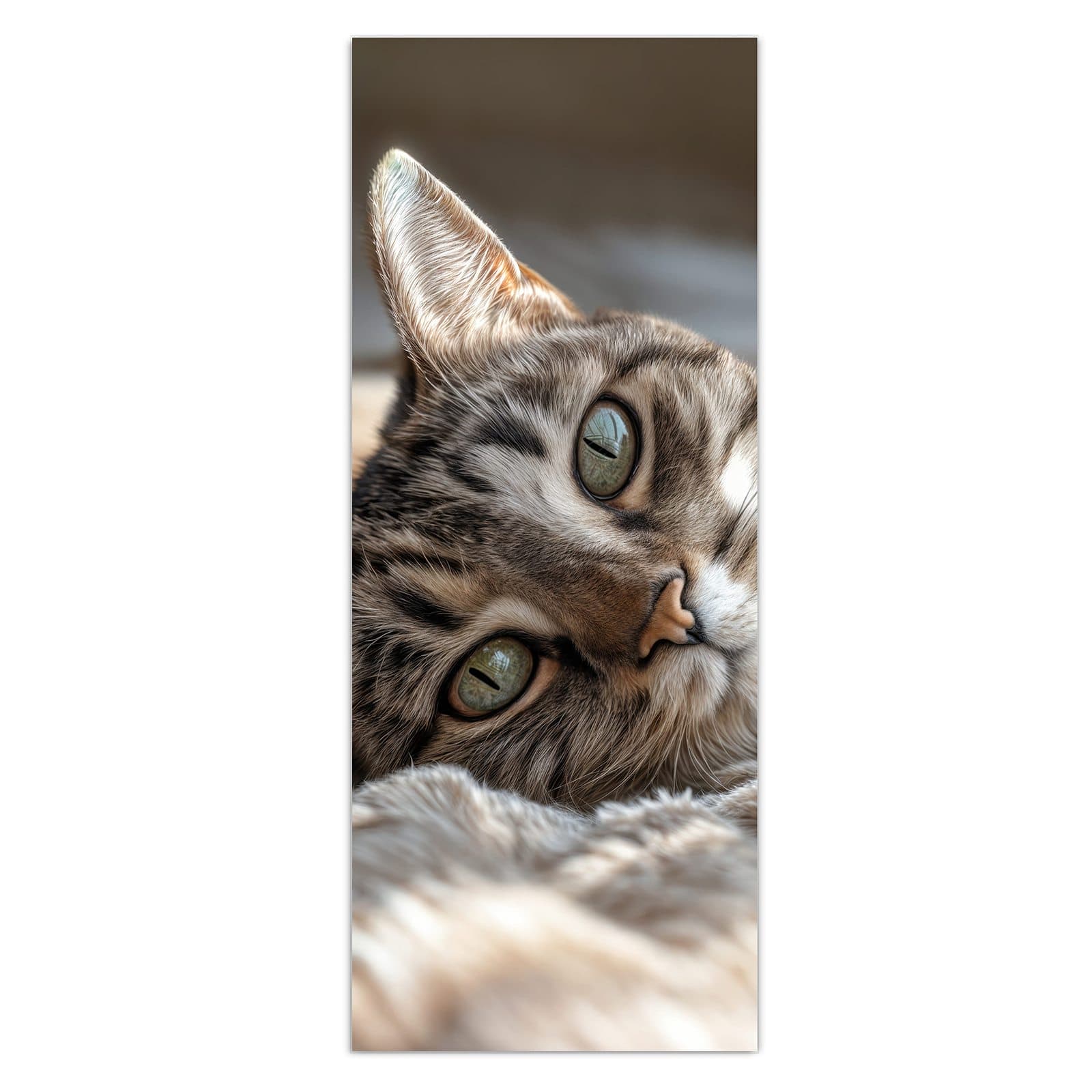 #grösse_50 x 125 cm #grösse_40 x 100 cm #grösse_60 x 150 cm