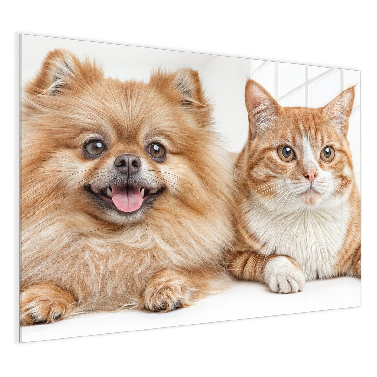 4 mm Glas statt lackiertem Blech – Glas Magnettafel - Spitz und Katze