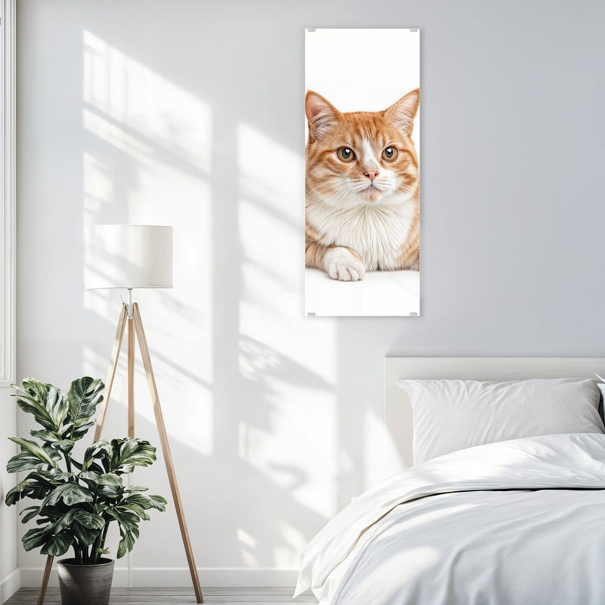 Glasbild Spitz und Katze an der Wand – Hellbrauner Zwergspitz mit heraushängender Zunge neben einer orange-weißen Katze