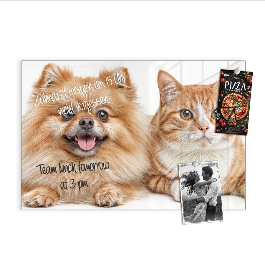 Maße Glas Magnettafel - Spitz und Katze