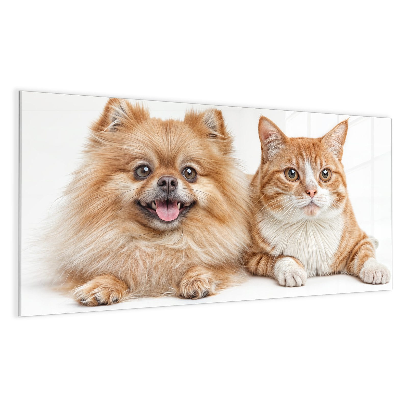 #grösse_100 x 50 cm