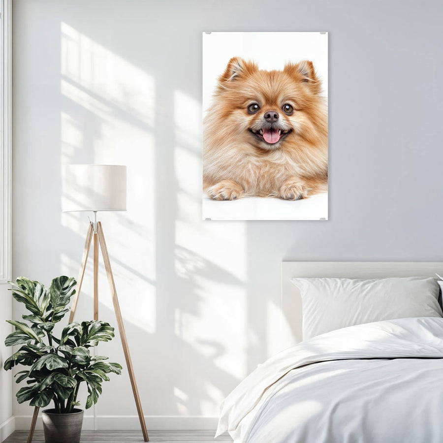 Maße Wandbild - Spitz und Katze - Hochformat