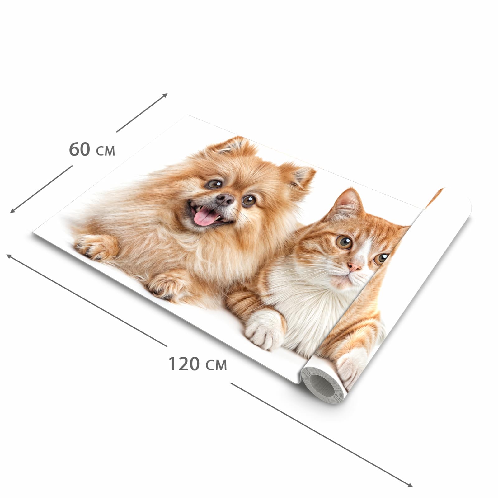 Schmutzabweisender Küchenteppich mit Motiv Hund und Katze in der Grösse 60x120 cm