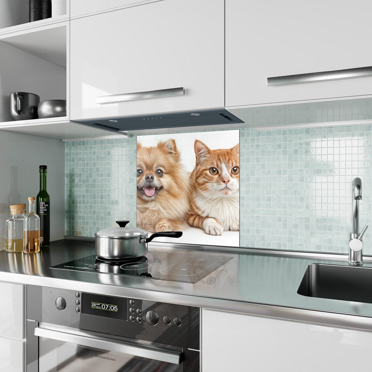 Küchenrückwand Spitz und Katze aus Glas – Orange Katze neben kleinem Hund