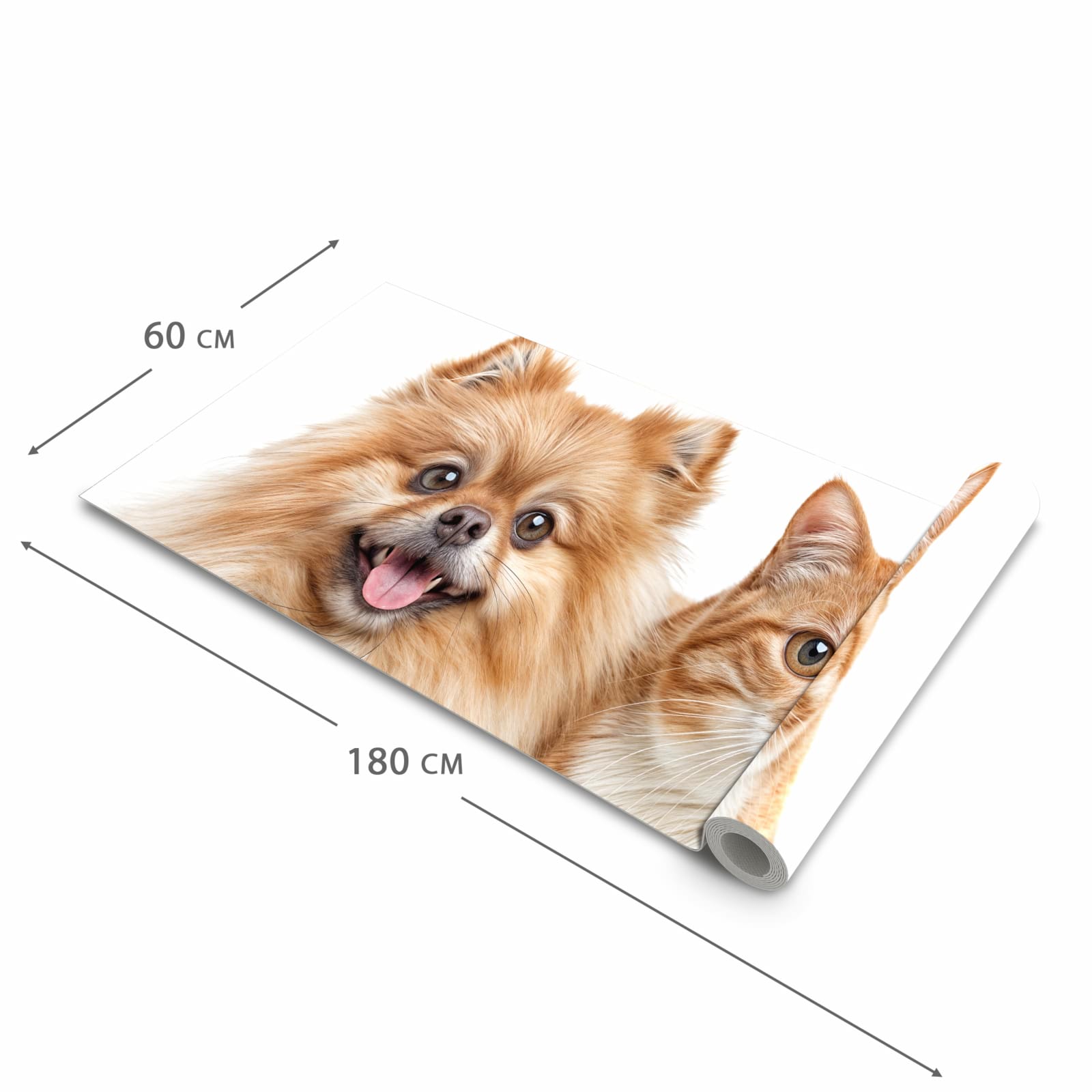 Langlebiger waschbarer Küchenteppich mit Motiv Hund und Katze in der Größe 60x120 cm