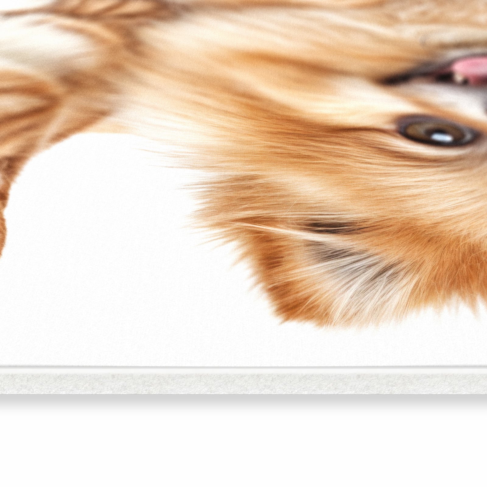 Geräuschdämpfender Läufer mit Motiv Hund und Katze für Eingangsbereich, seitliche Ansicht