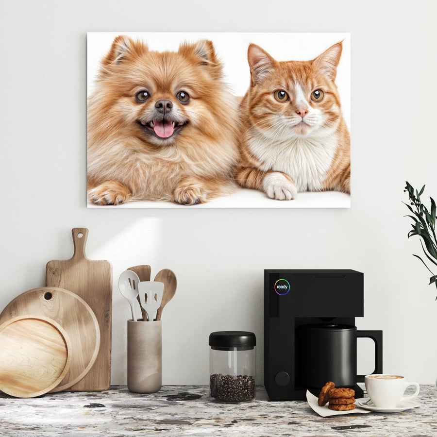 Maße Metall Magnettafel - Spitz und Katze