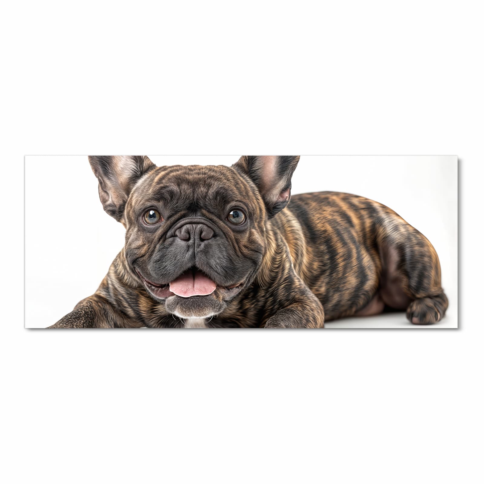 Zeitsparender Bodenläufer Teppich mit Motiv Bulldogge von Französische in Frontansicht