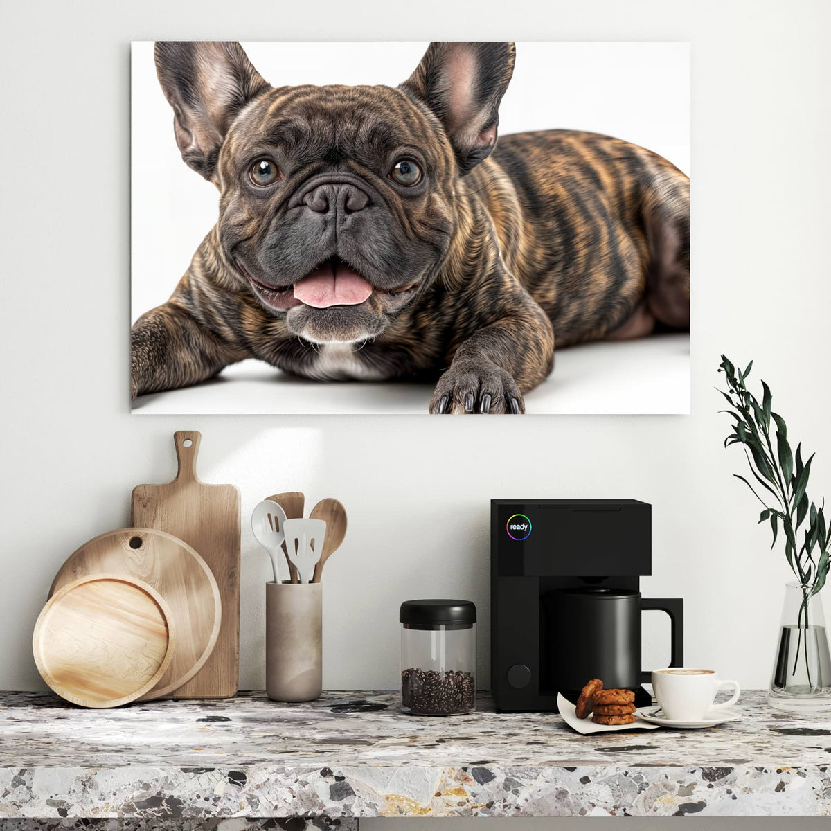 Gestromte Französische Bulldogge liegt frontal, Zunge heraus, weißer Hintergrund