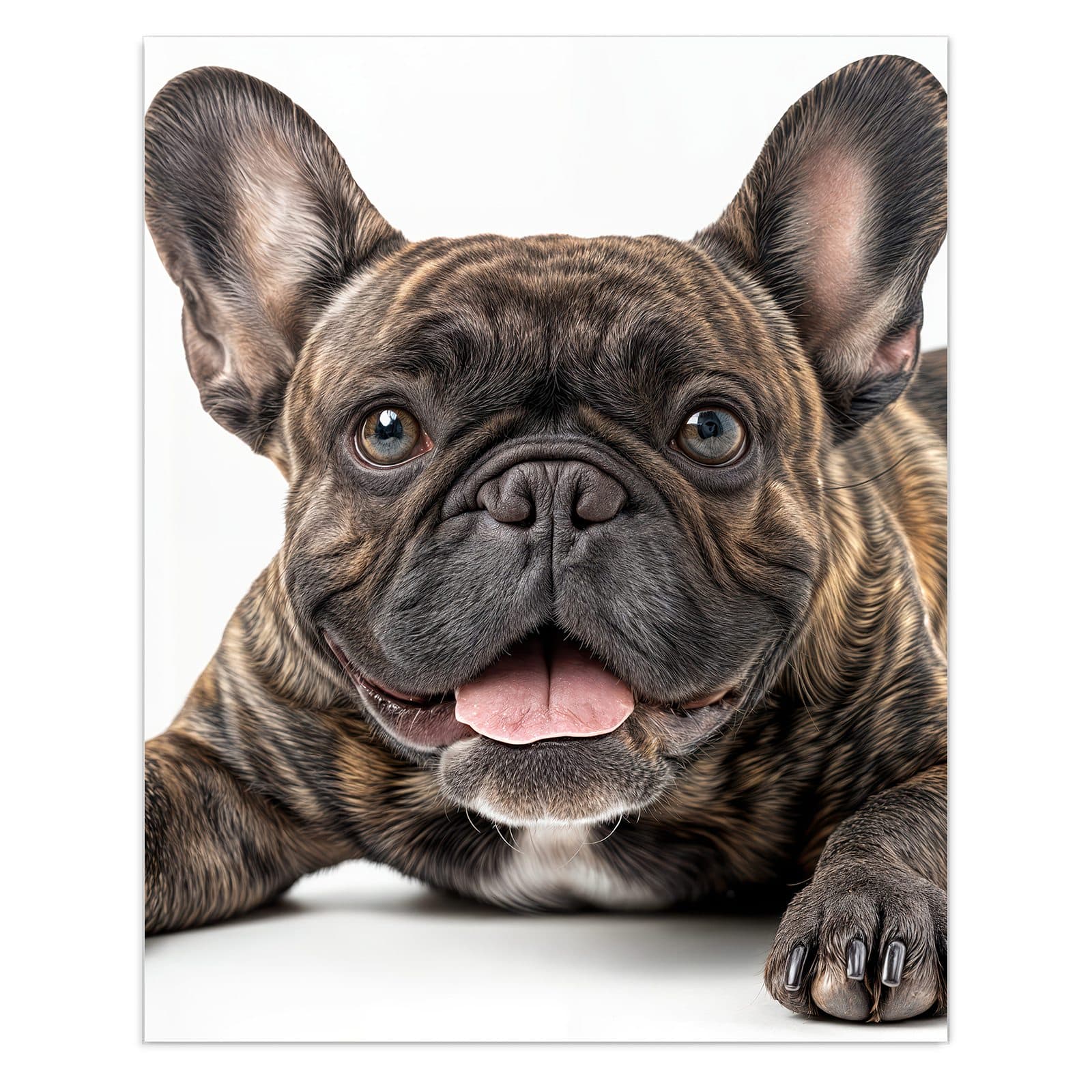 #grösse_60 x 75 cm #grösse_80 x 100 cm