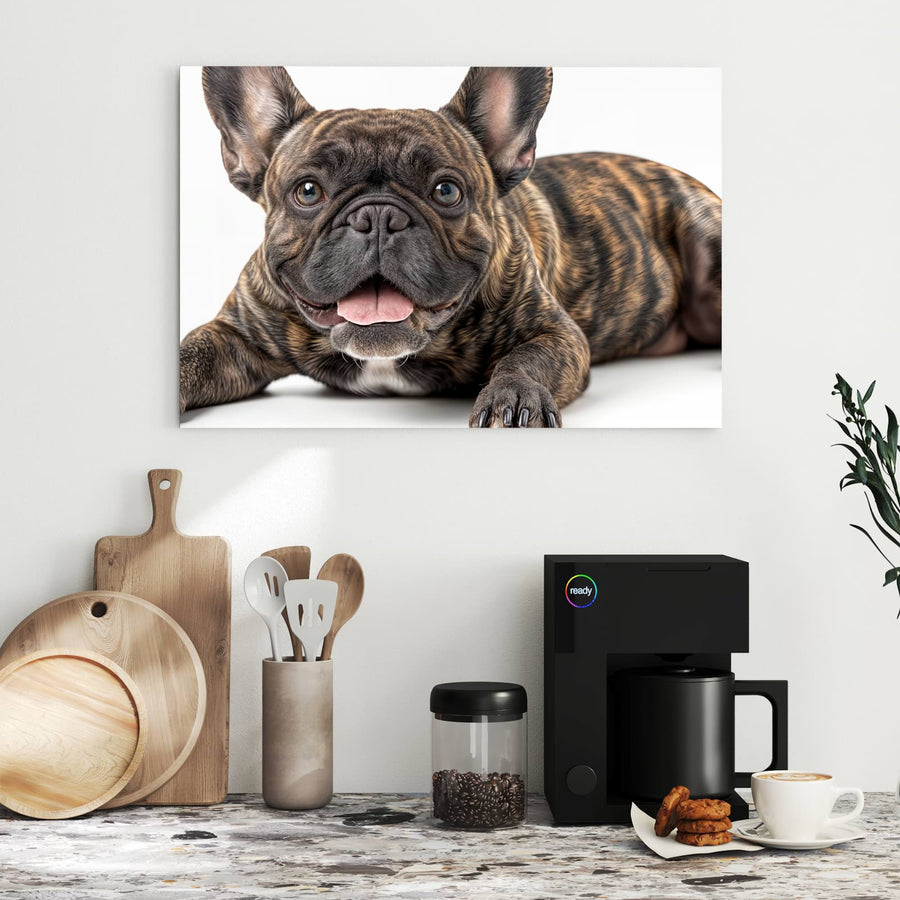 Maße Metall Magnettafel - Liegende Bulldogge