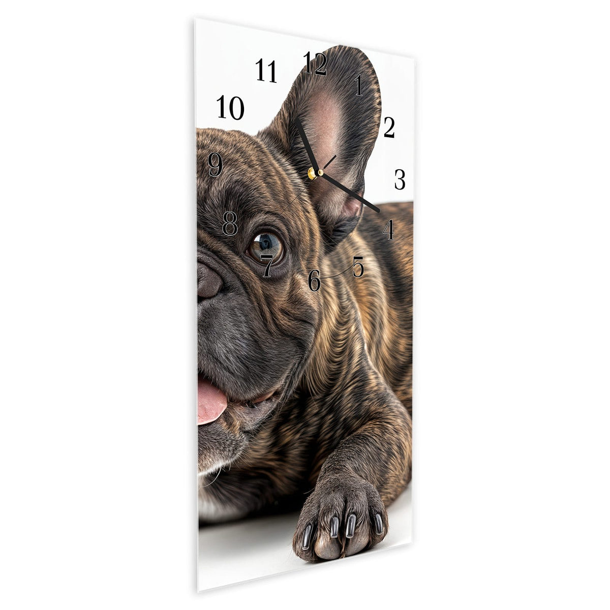 Vormontiert – mit Schwebeeffekt – Wanduhr Französische Bulldogge Porträt aus Glas – Hochformat 30 × 60 cm