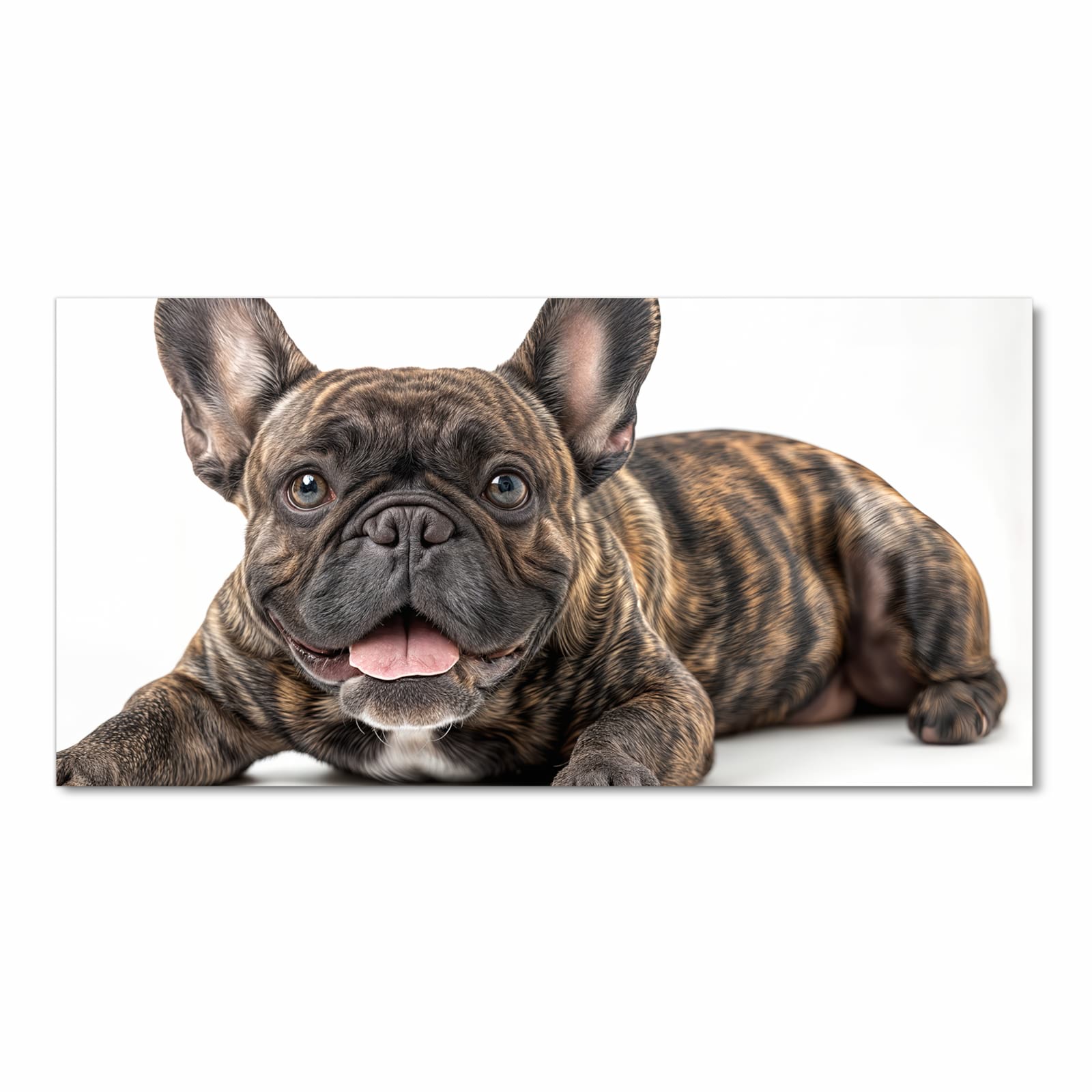 Sicherer Bodenläufer mit Motiv Bulldogge von Französische in Frontansicht für sichere Aufbewahrung