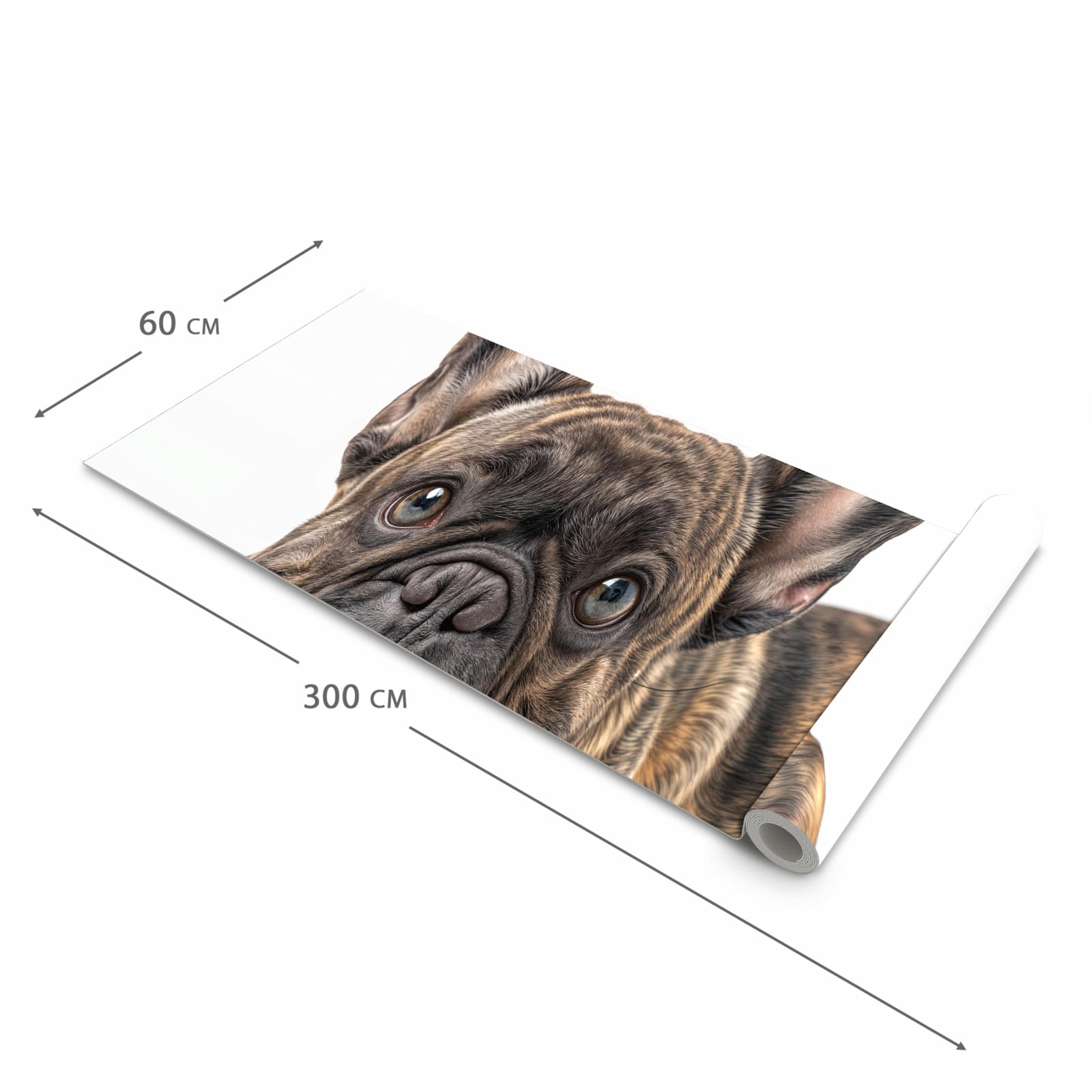 Komfortabler Teppich für Esszimmer mit Motiv Bulldogge von Französische in der Größe 90x240 cm